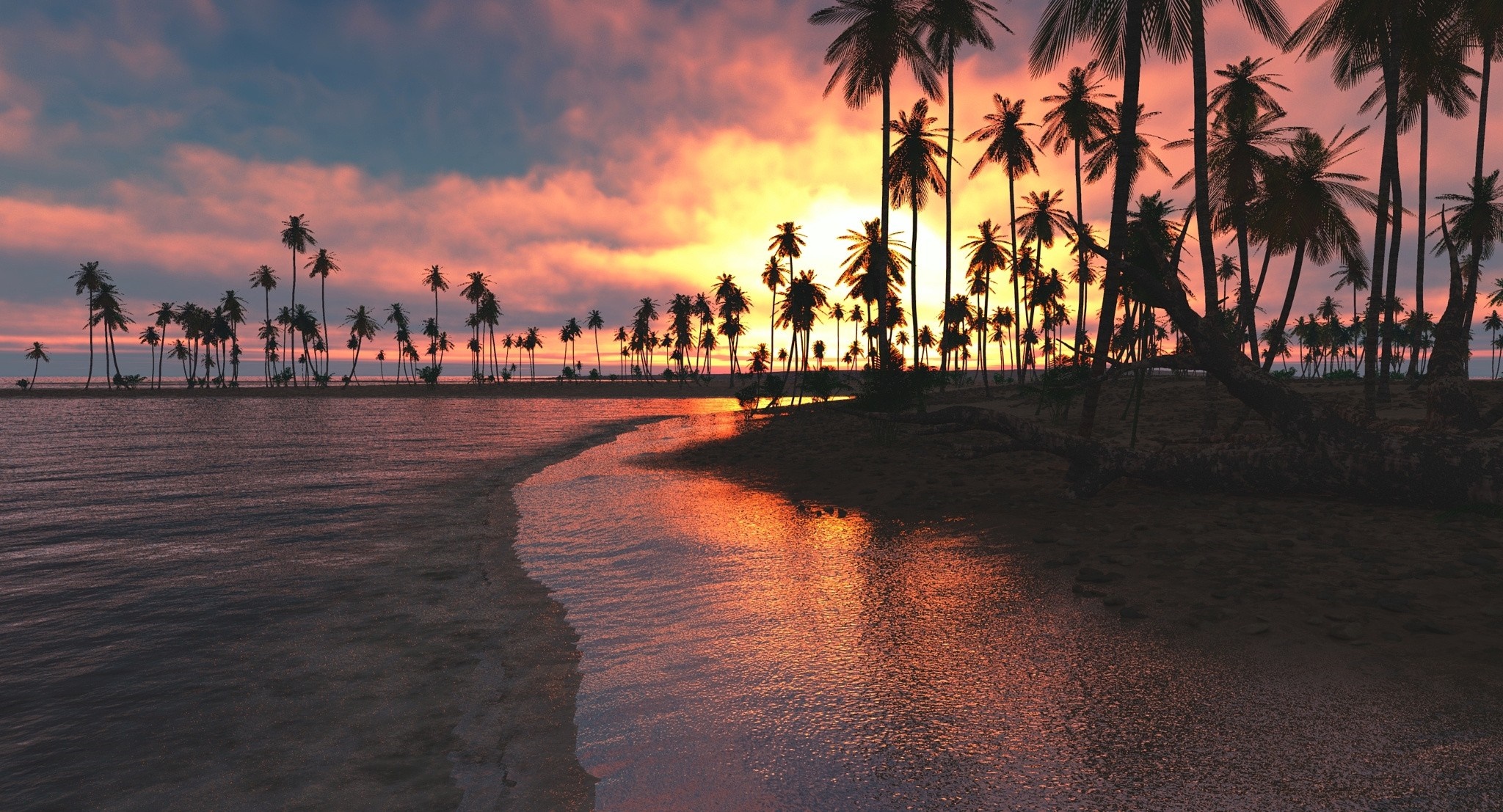 Tropical beach at sunset with palm trees and ocean reflection HD Wallpaper