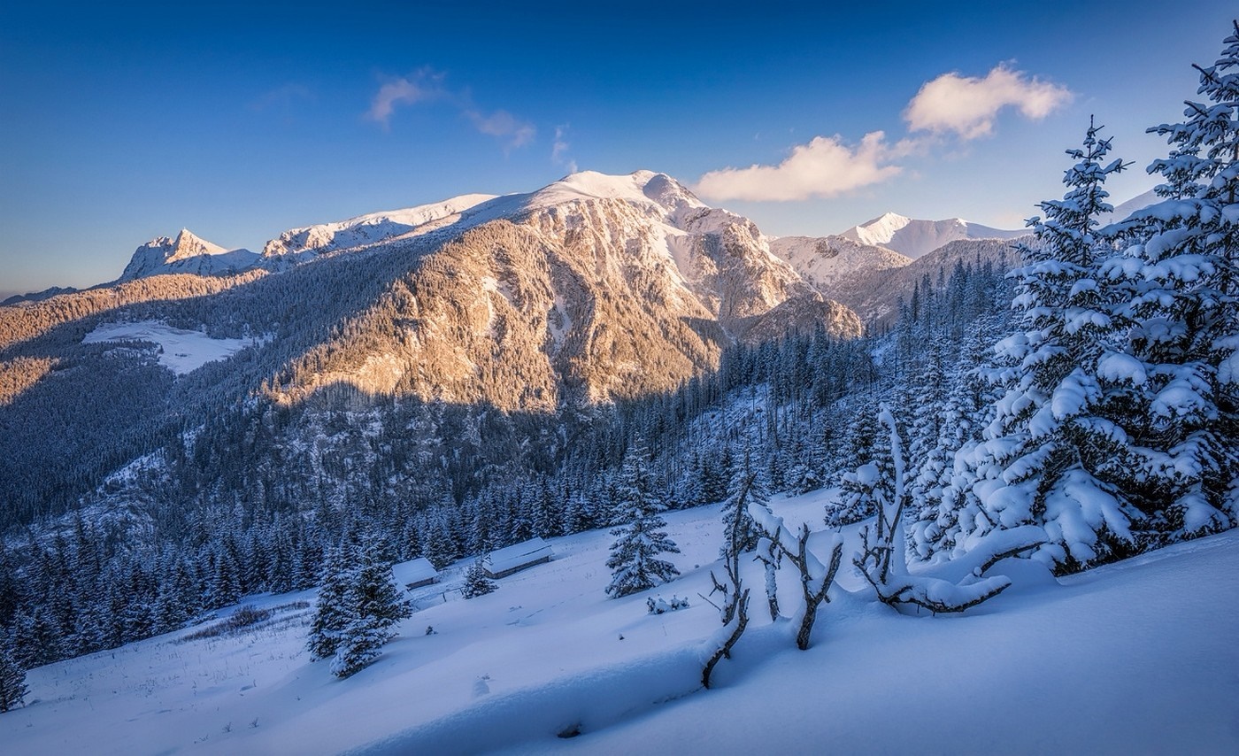 Snow-covered mountains and pine forest at sunset HD Wallpaper