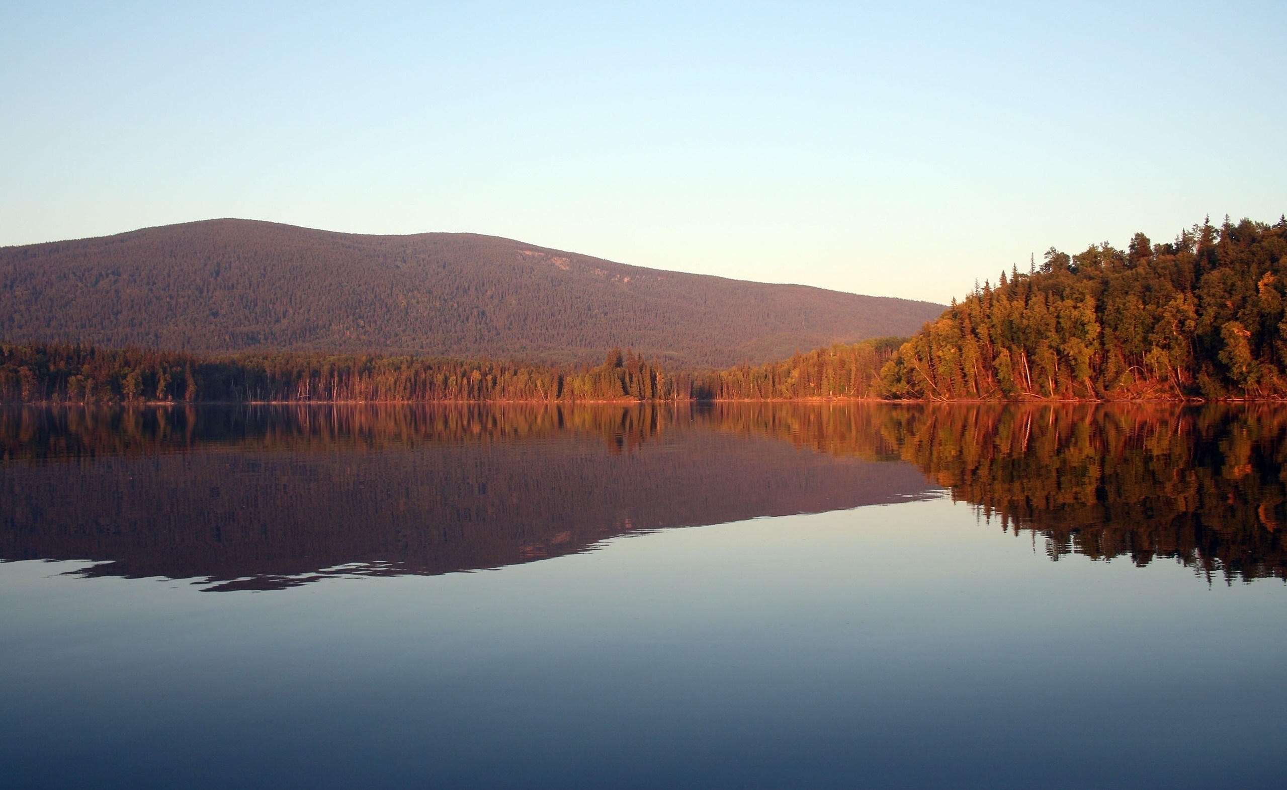 Lake reflection of forest and mountain at sunrise HD Wallpaper