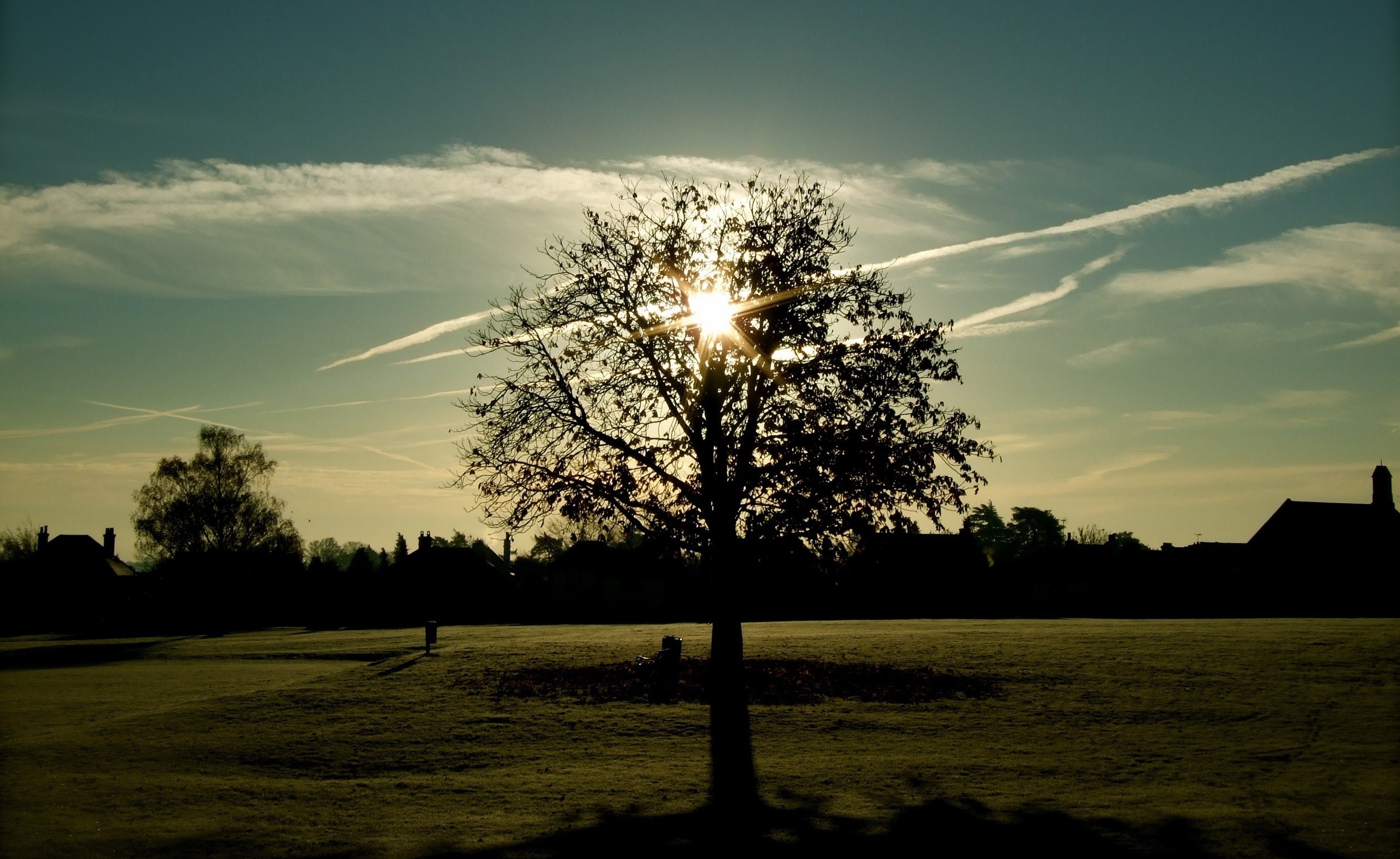 Sun shining through a tree at sunset HD Wallpaper
