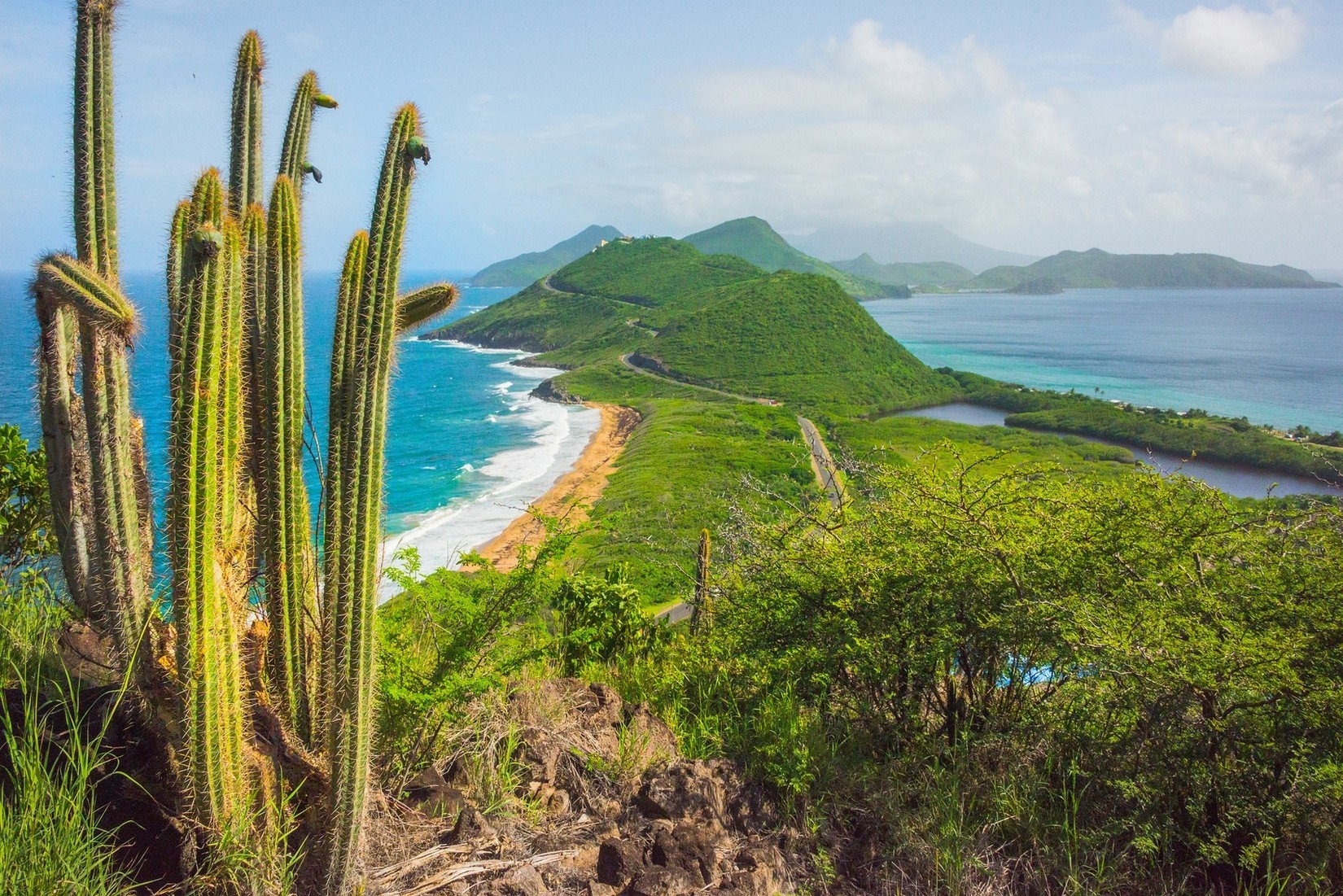 Tropical island landscape with cactus and coastline HD Wallpaper