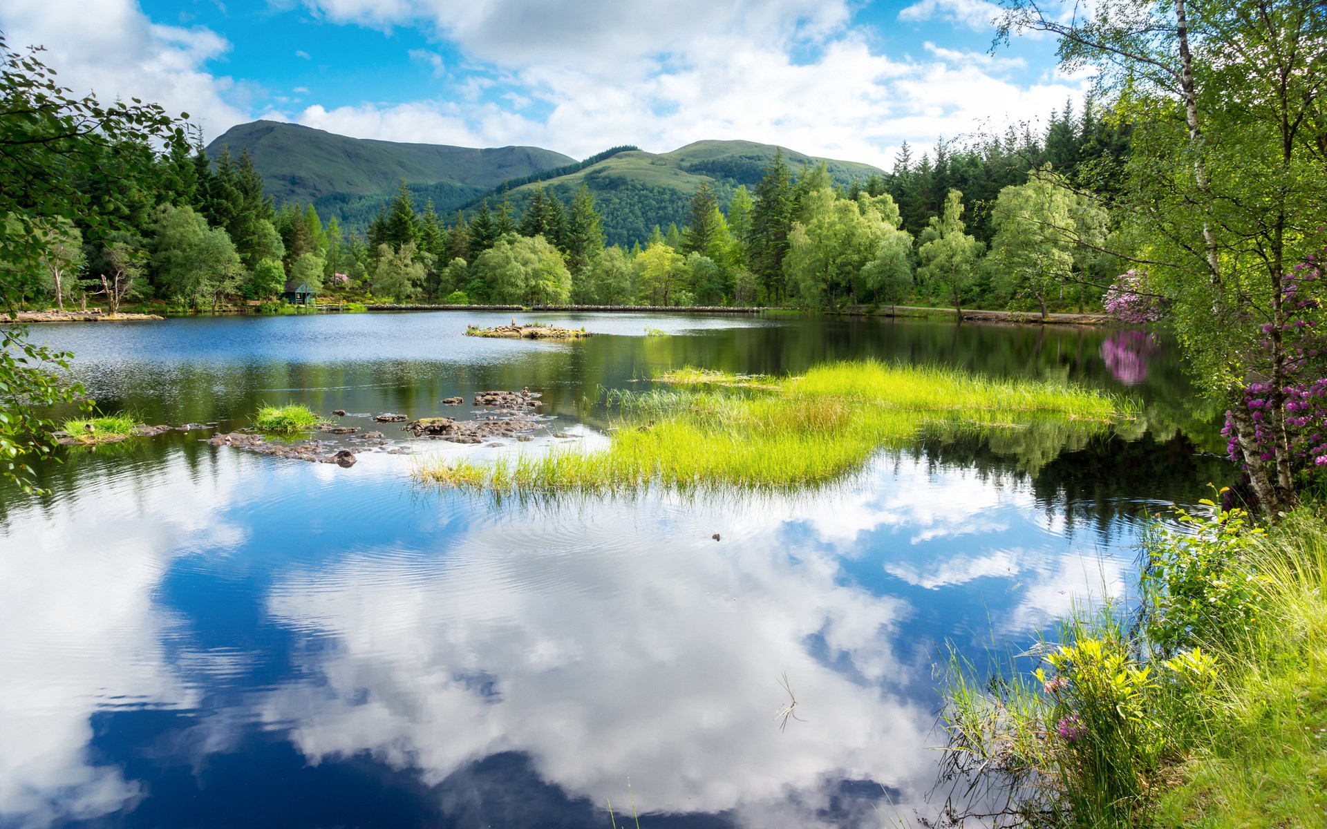 Lake reflecting trees and mountains under a cloudy sky HD Wallpaper