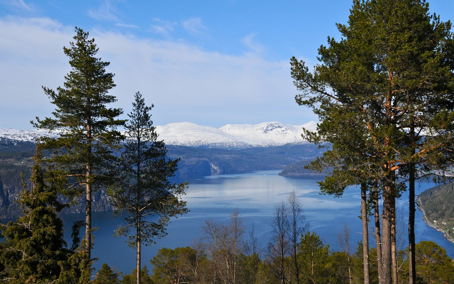 Snow-capped mountains over a fjord with pine trees HD Wallpaper