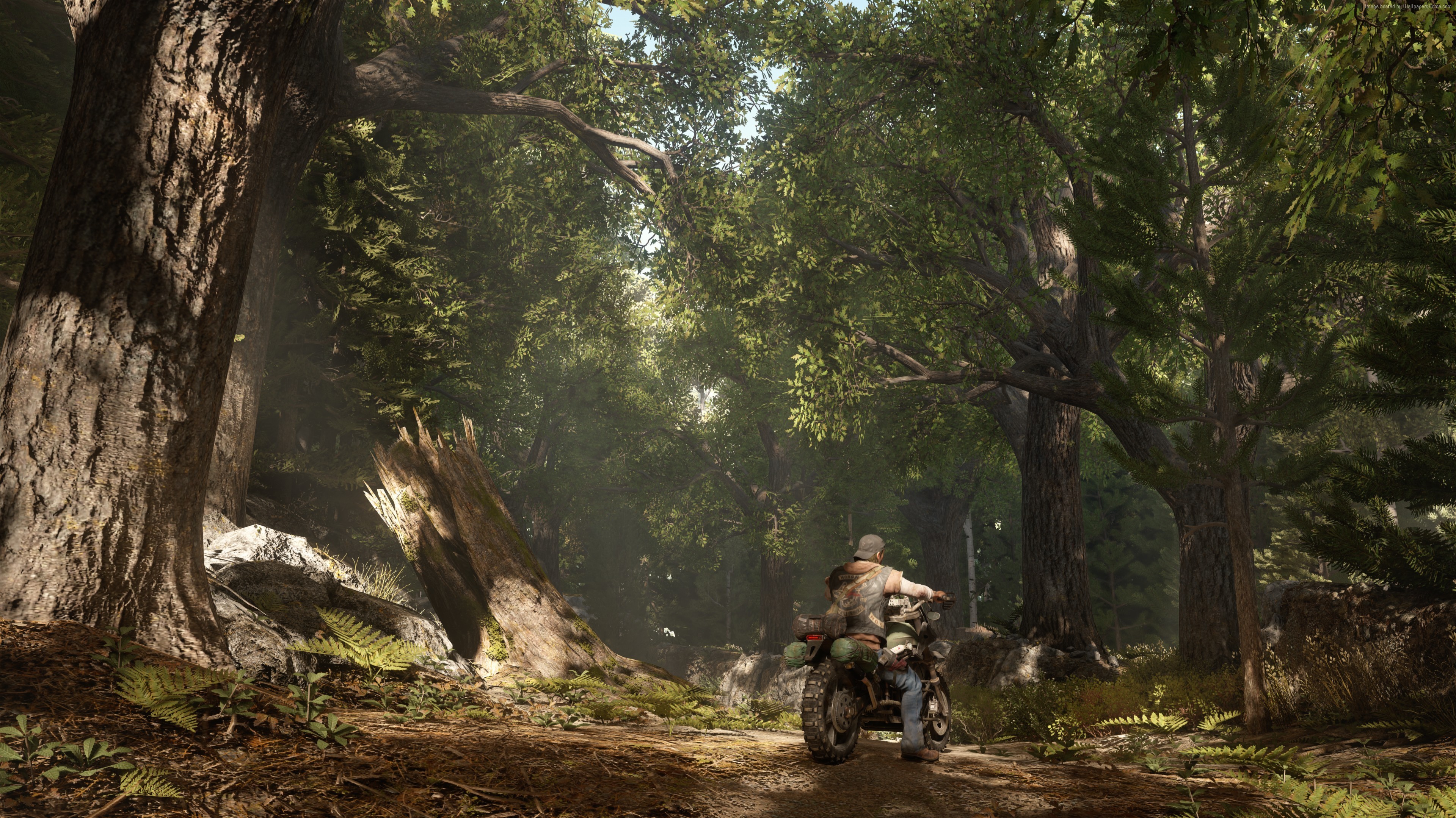 Deacon riding a motorcycle through a forest in Days Gone HD Wallpaper