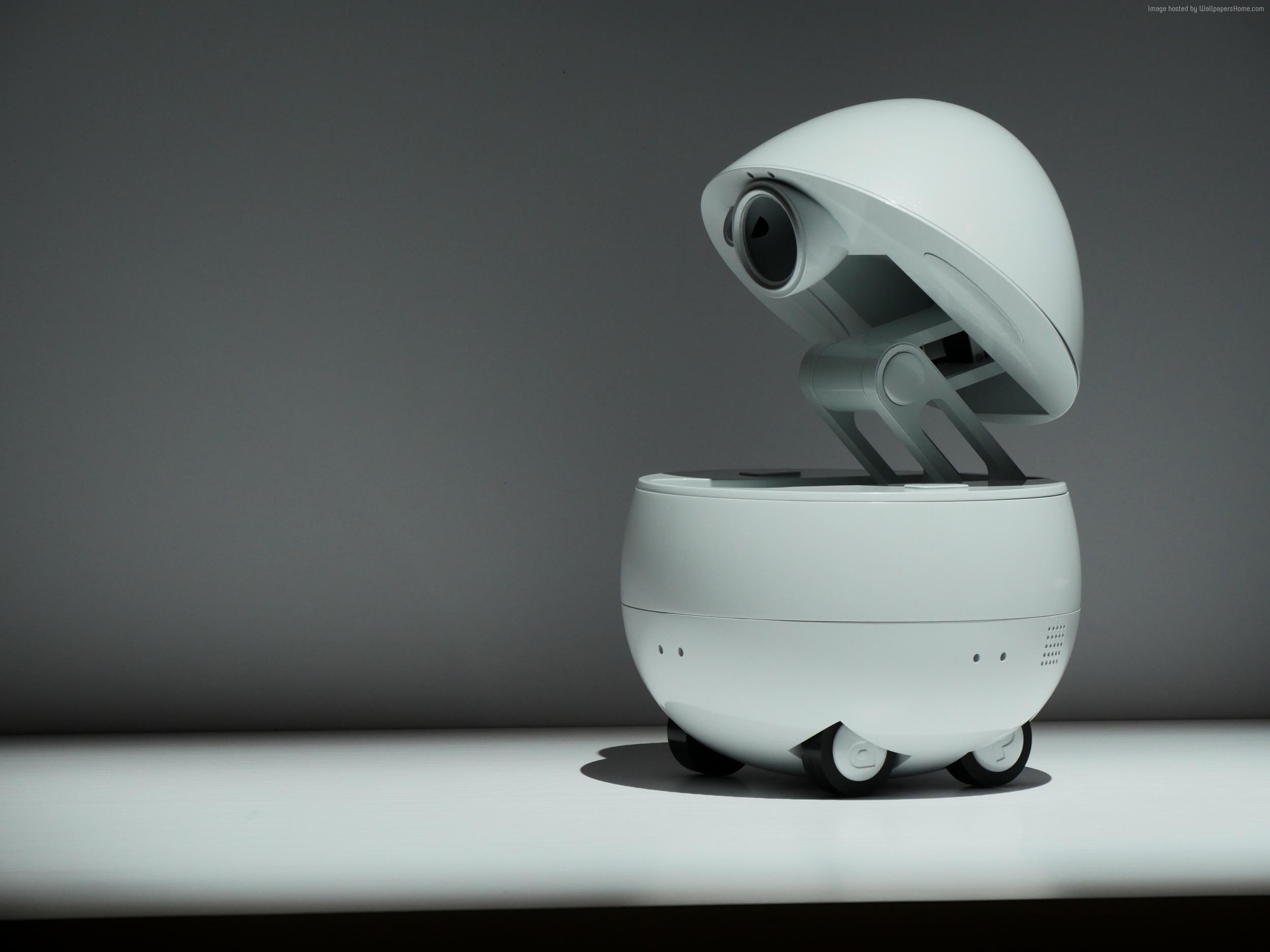 Panasonic companion robot egg HD Wallpaper