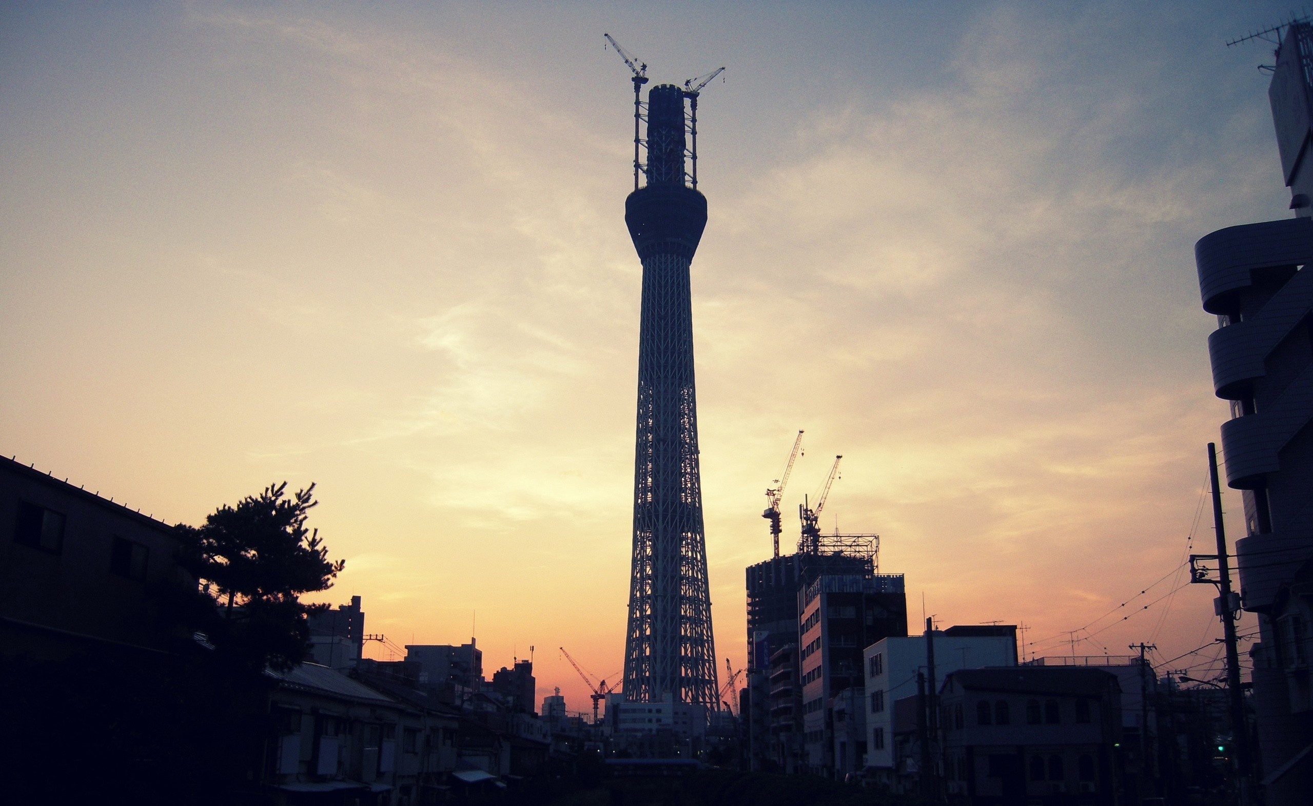 Tokyo Skytree construction at sunset HD Wallpaper