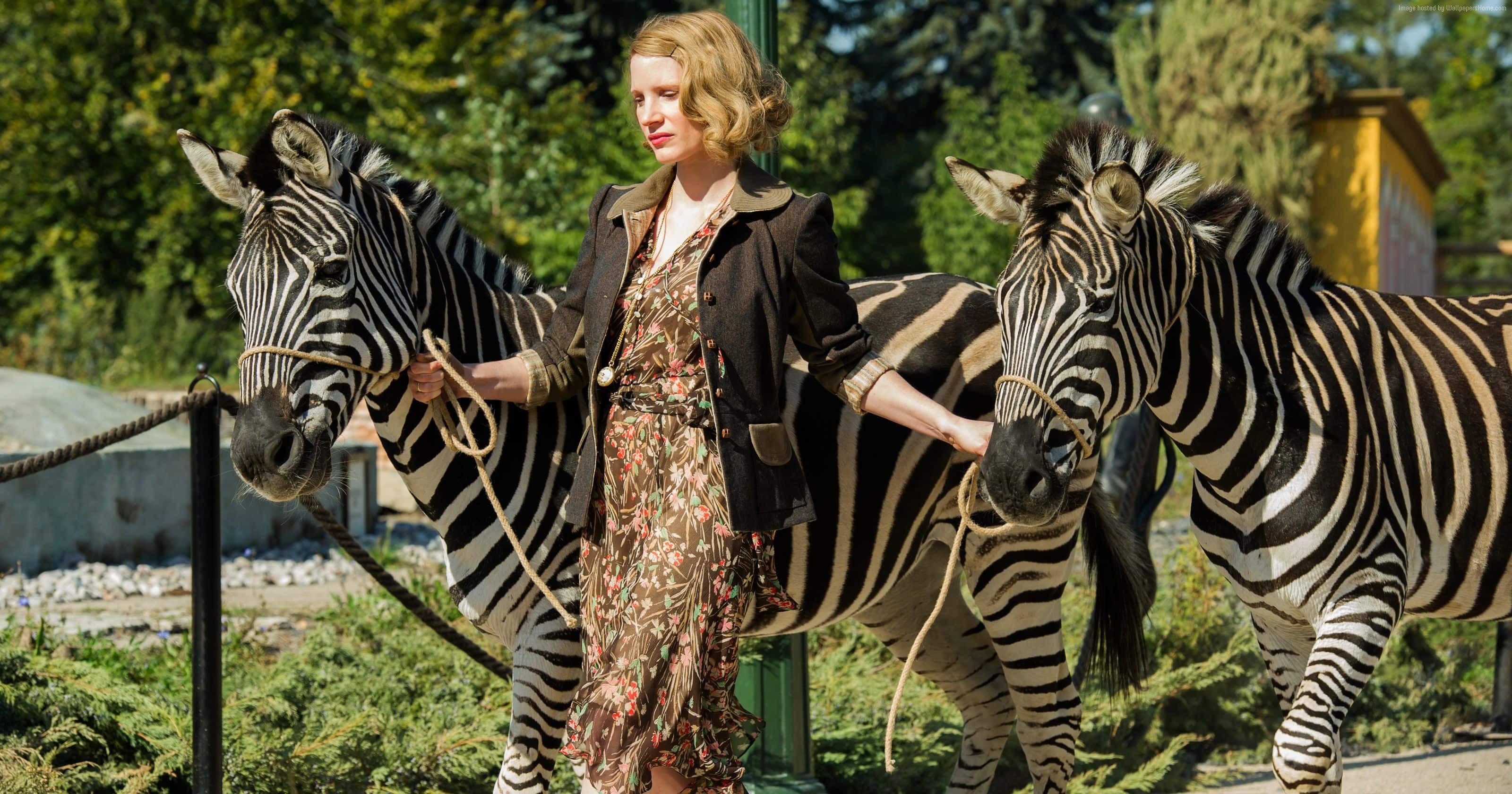 Jessica Chastain with Zebras in The Zookeeper's Wife HD Wallpaper