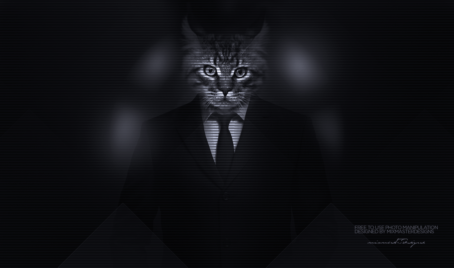 Cat in a Suit Photo Manipulation HD Wallpaper