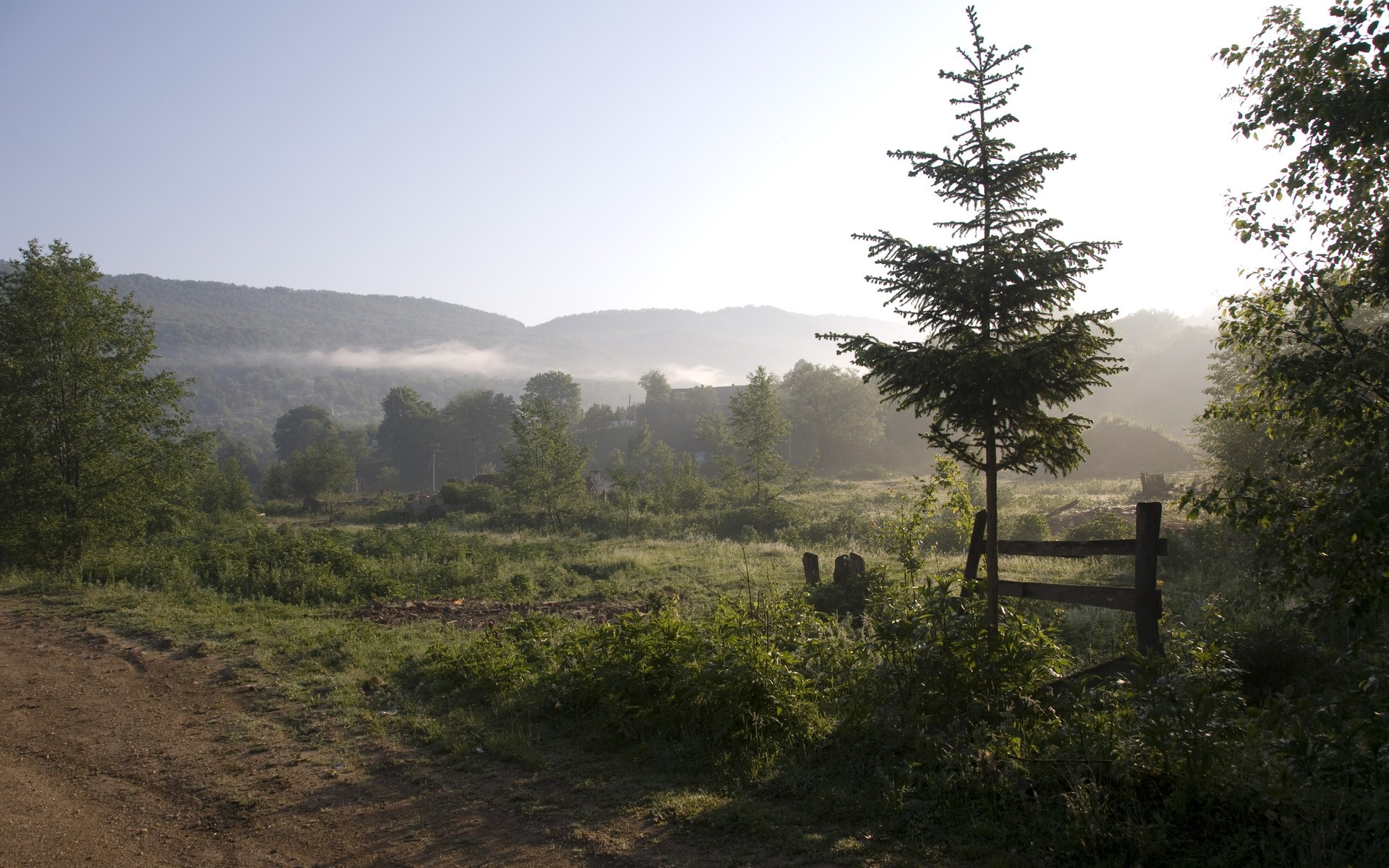 Misty morning landscape with trees and hills HD Wallpaper