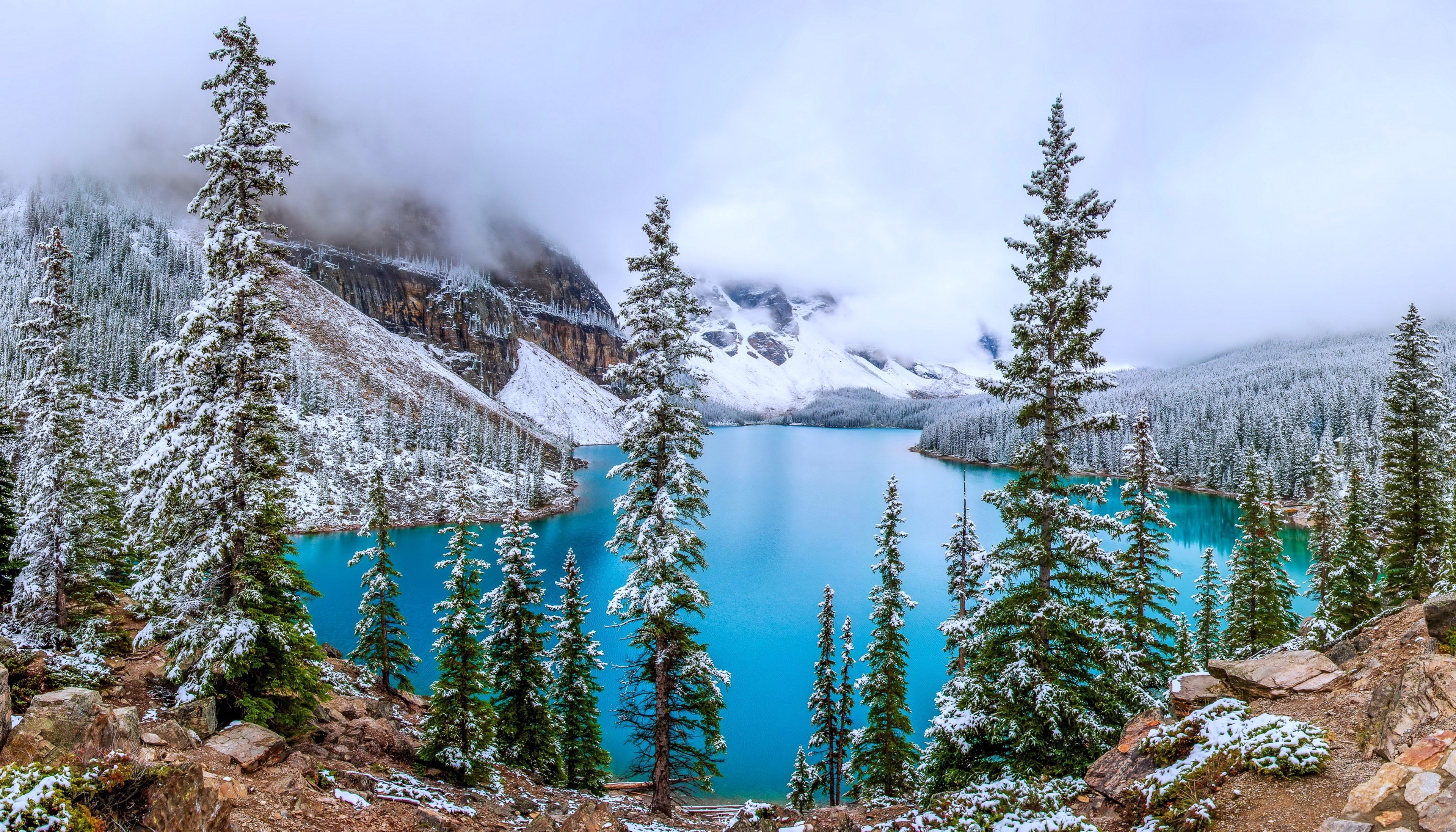 Snowy Mountain Lake Surrounded by Pine Trees HD Wallpaper