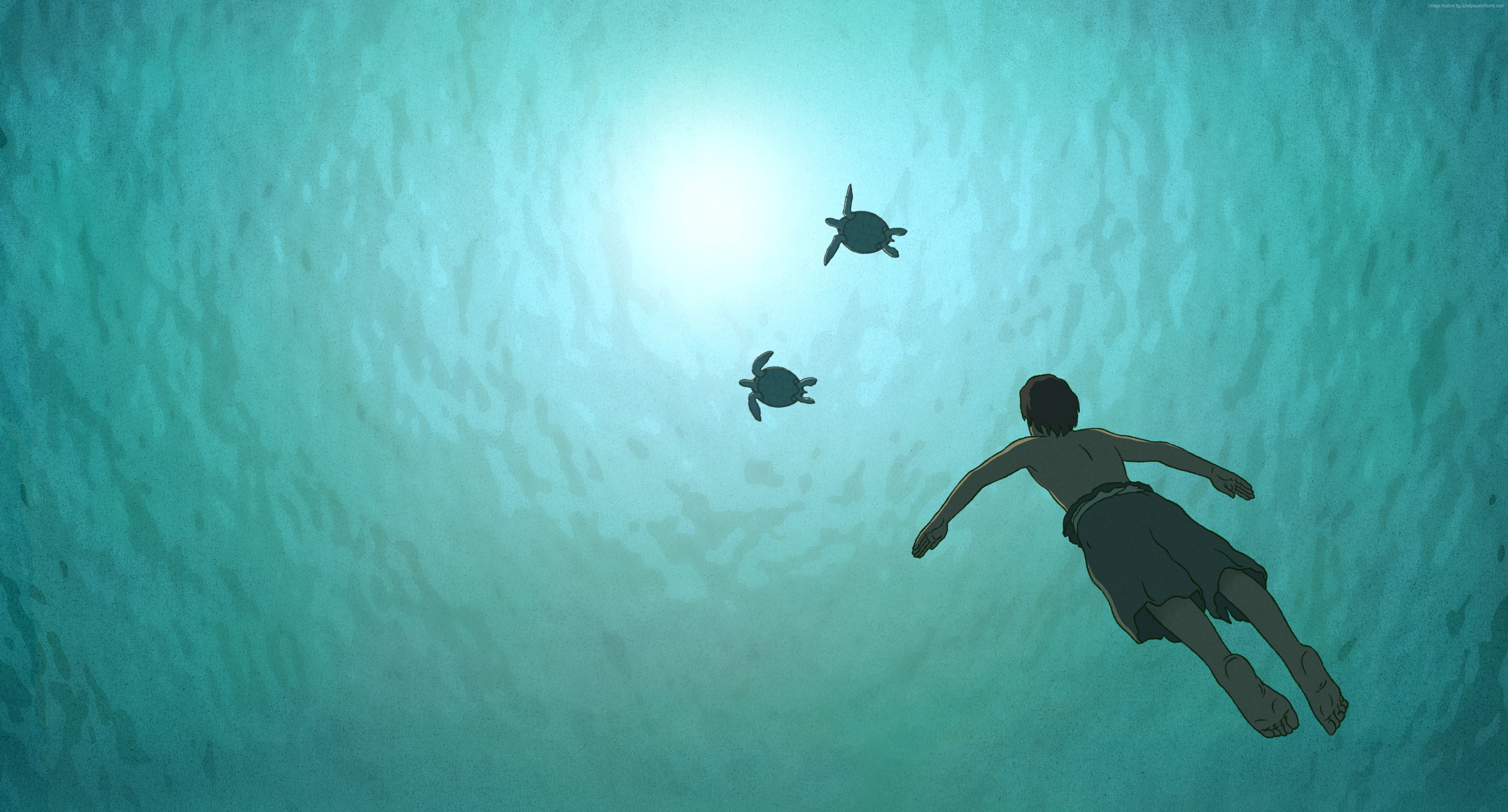The Red Turtle HD Wallpaper