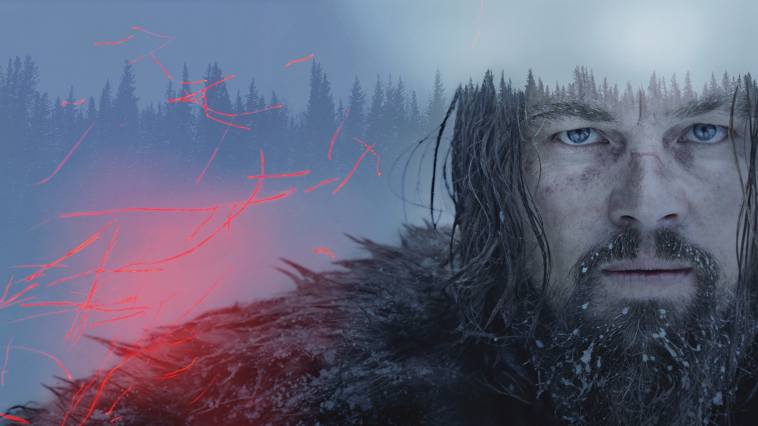 Leonardo DiCaprio in The Revenant HD Wallpaper