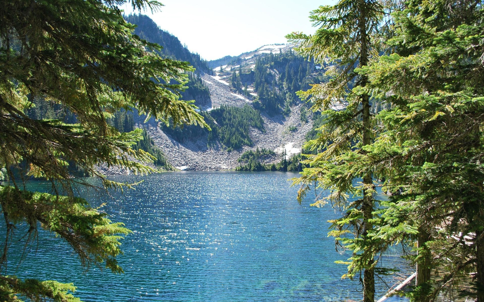Lake surrounded by trees and mountains HD Wallpaper