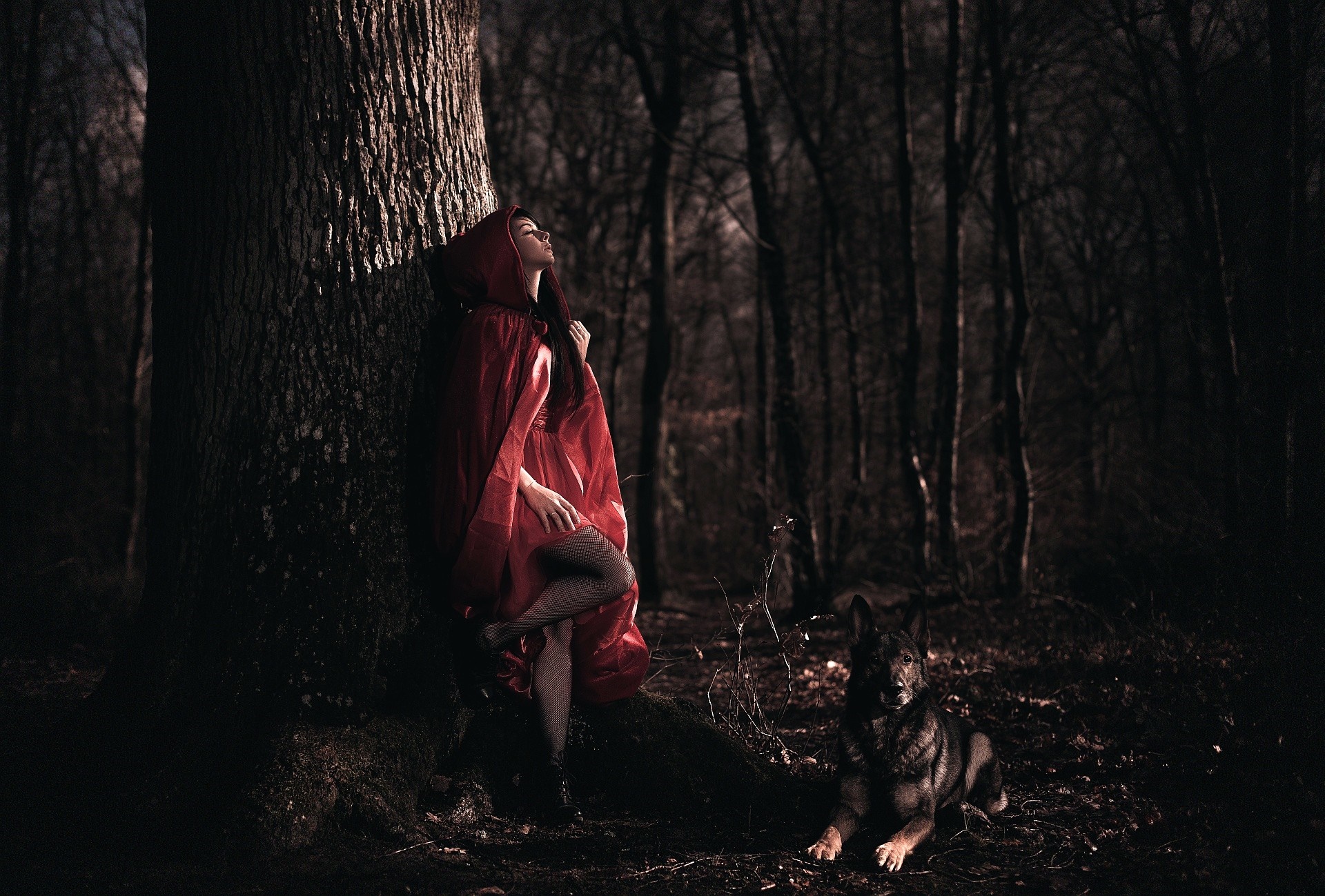 Woman in red hood with dog in dark forest HD Wallpaper