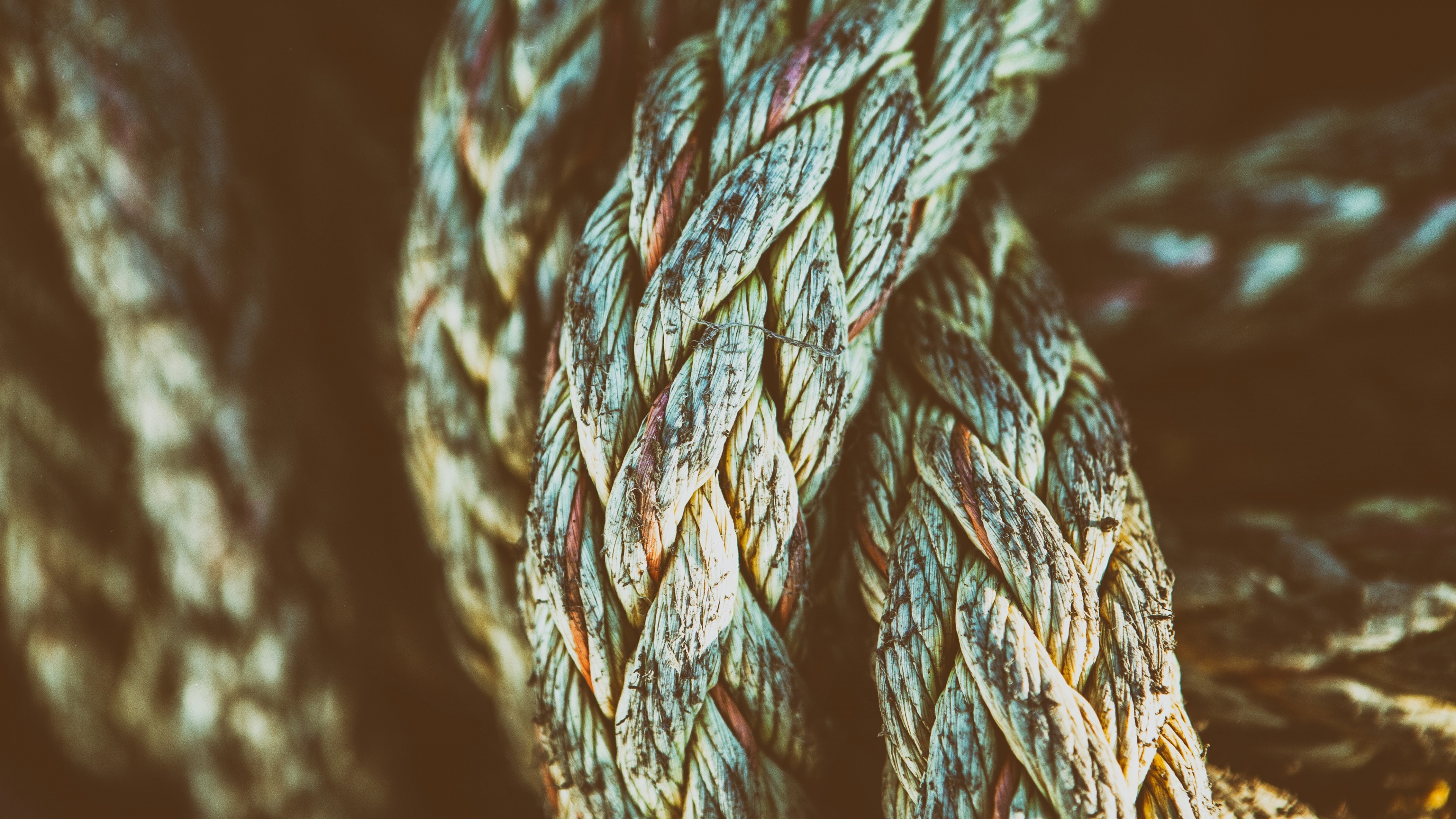 Close-up of a thick, braided rope with weathered texture HD Wallpaper