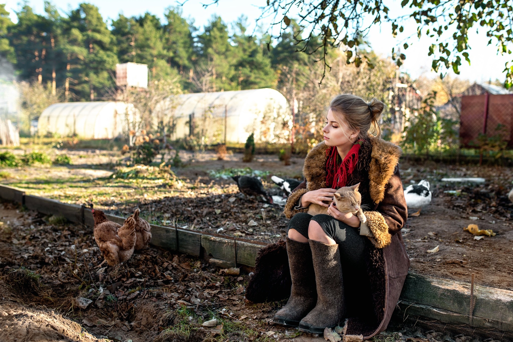 Woman holding a cat on a farm with chickens HD Wallpaper