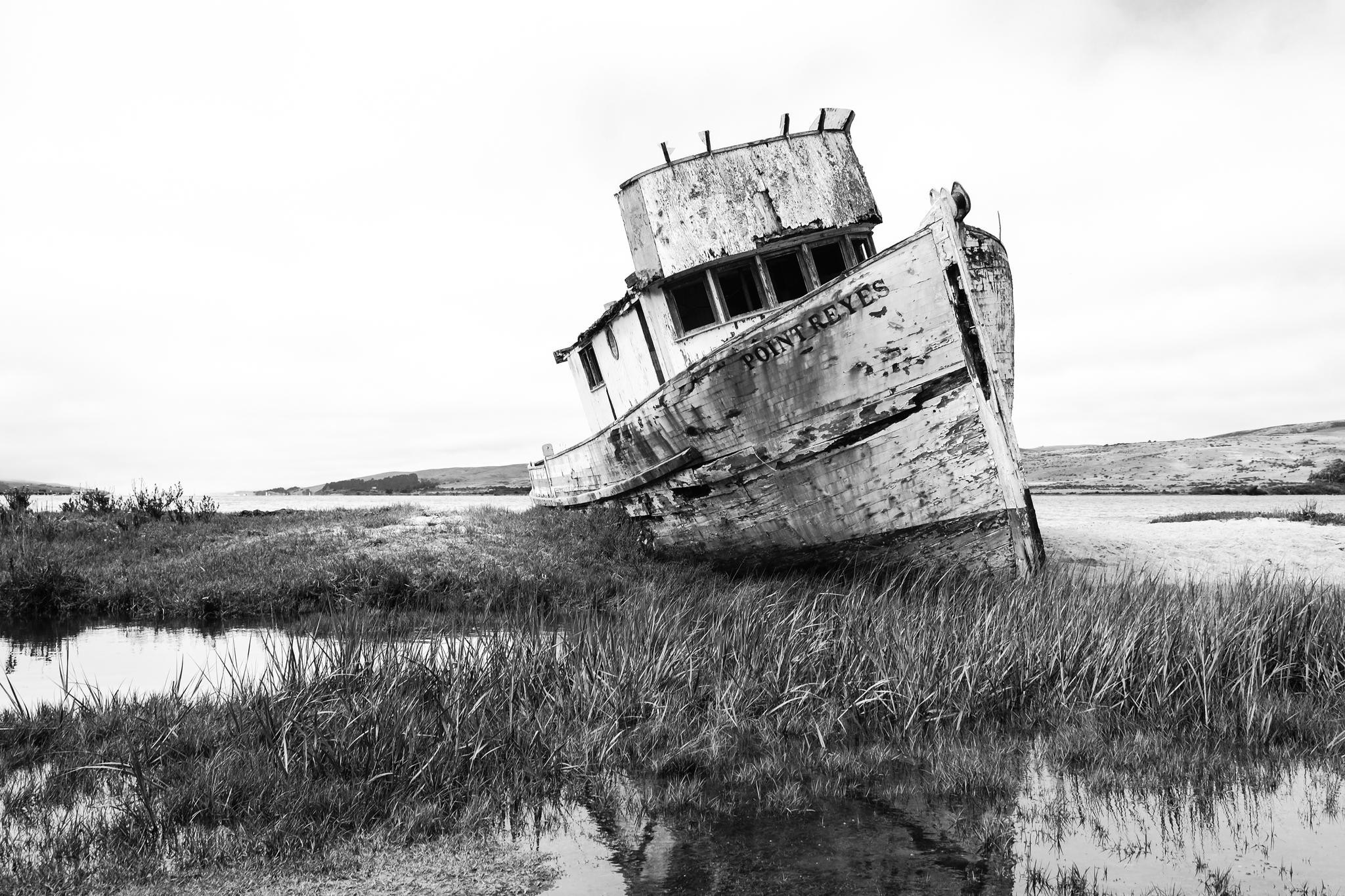 Abandoned shipwreck 'Point Reyes' on a grassy shore HD Wallpaper