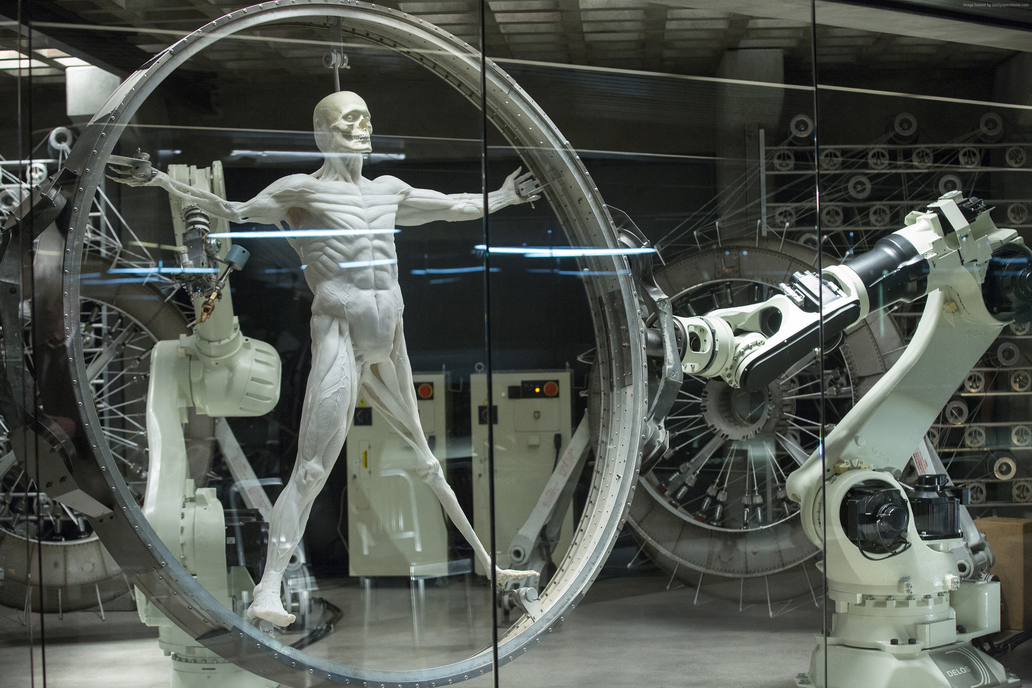 Westworld anatomical model with robotic arms HD Wallpaper