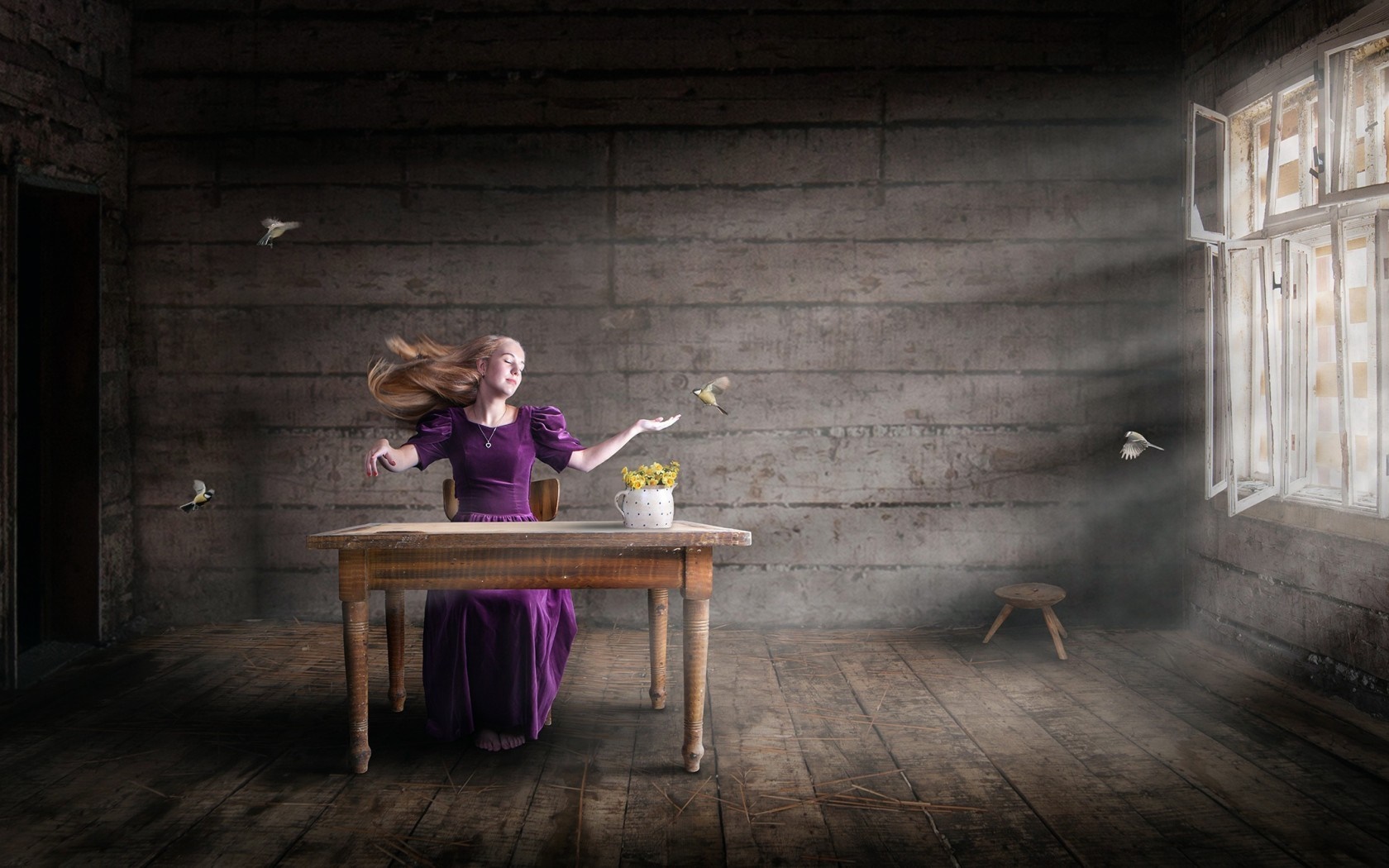Woman in purple dress with birds in a dark room HD Wallpaper