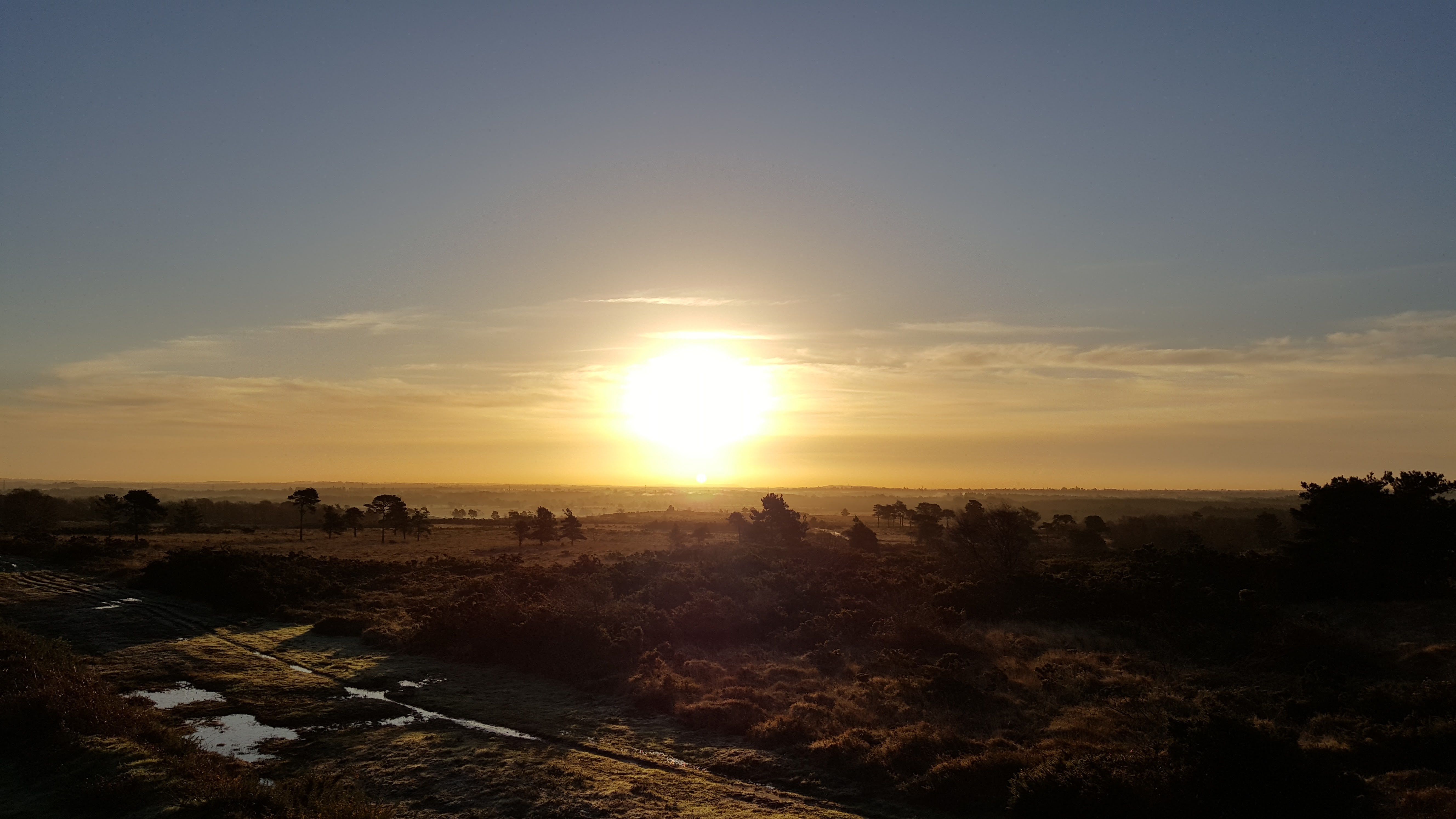 Sunrise over a heathland landscape with trees and water HD Wallpaper