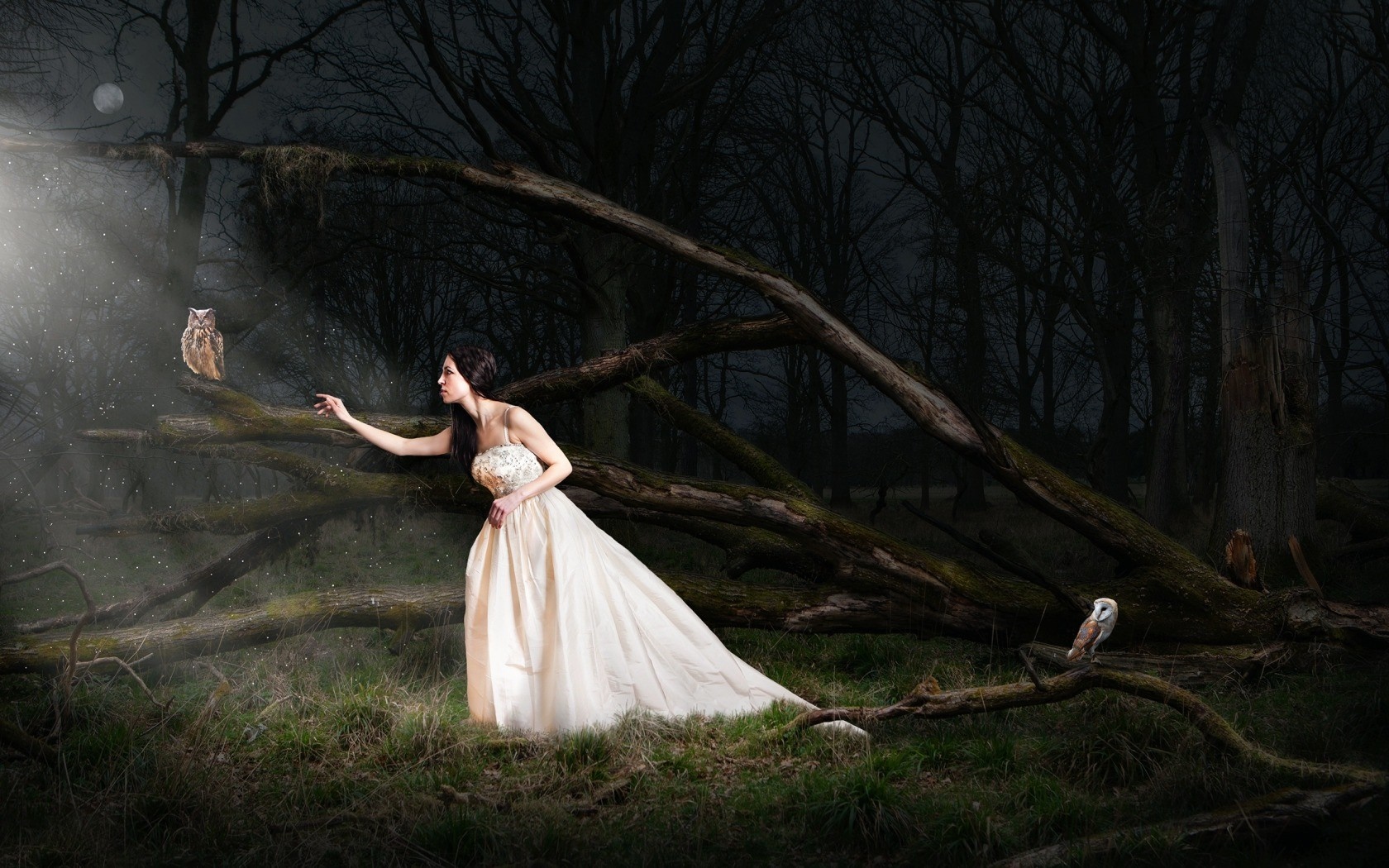 Woman in a white dress with owls in a dark forest HD Wallpaper
