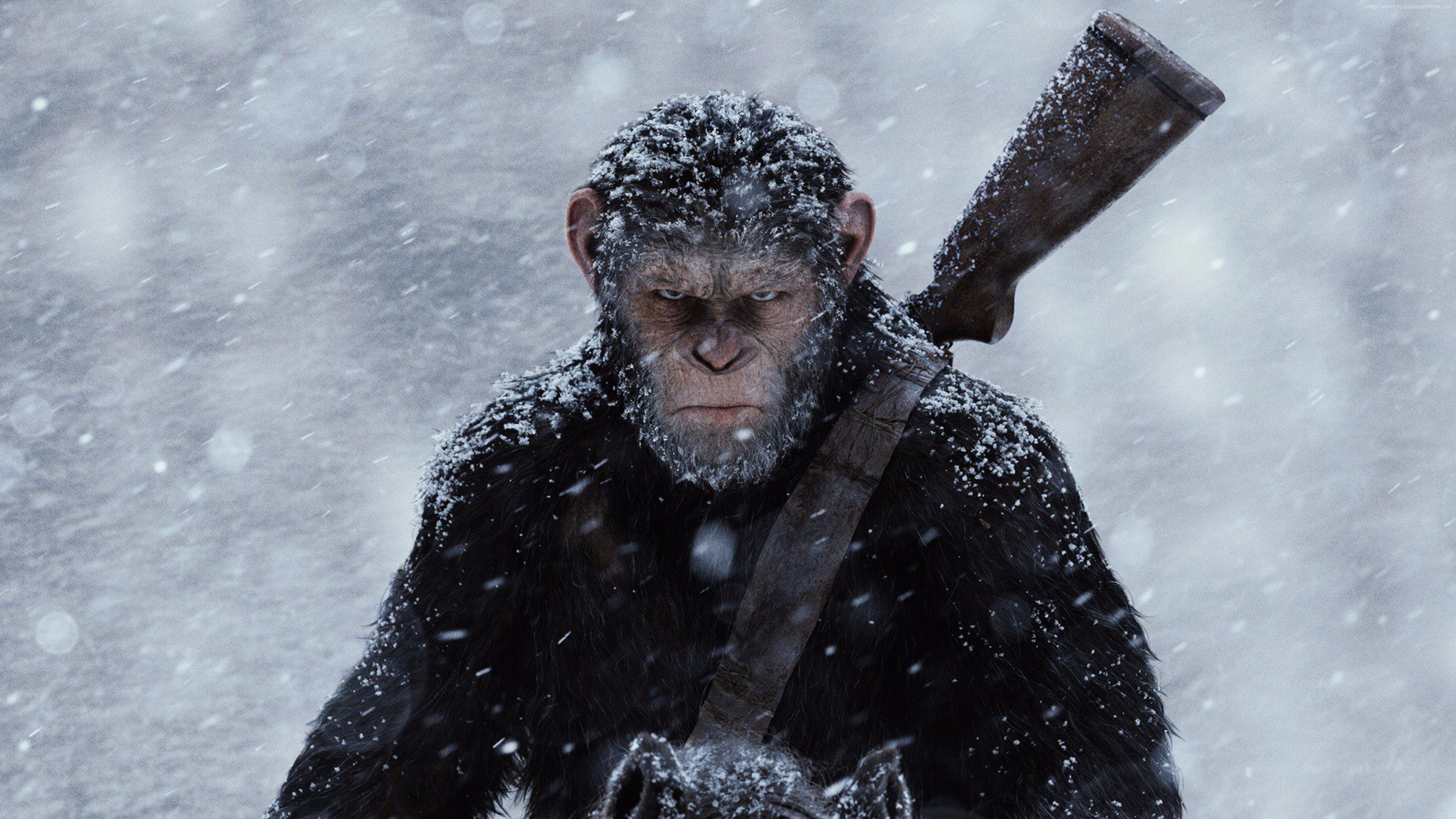 Caesar from War for the Planet of the Apes 4K HD Wallpaper