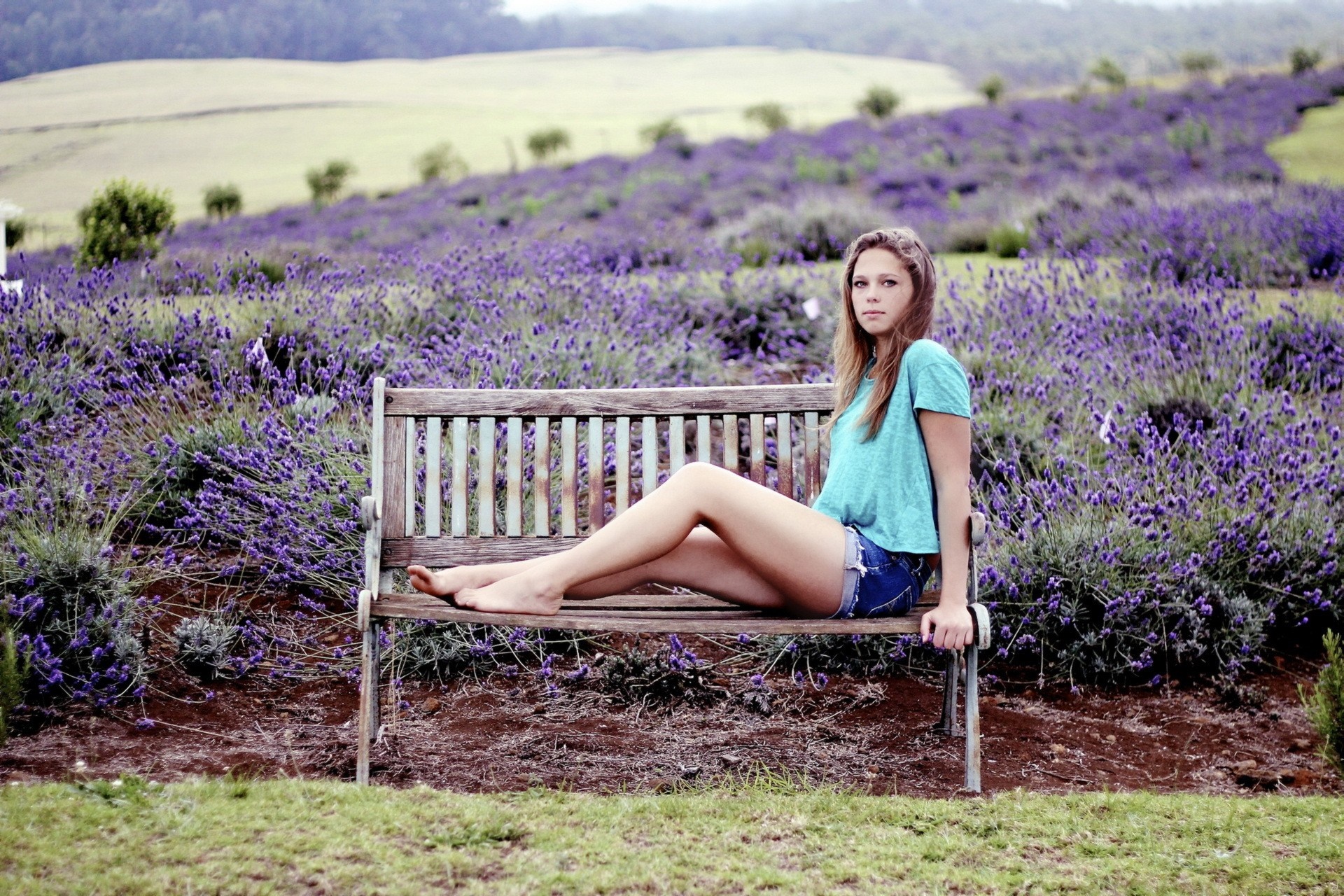 Young Woman Sitting on Bench in Lavender Field HD Wallpaper