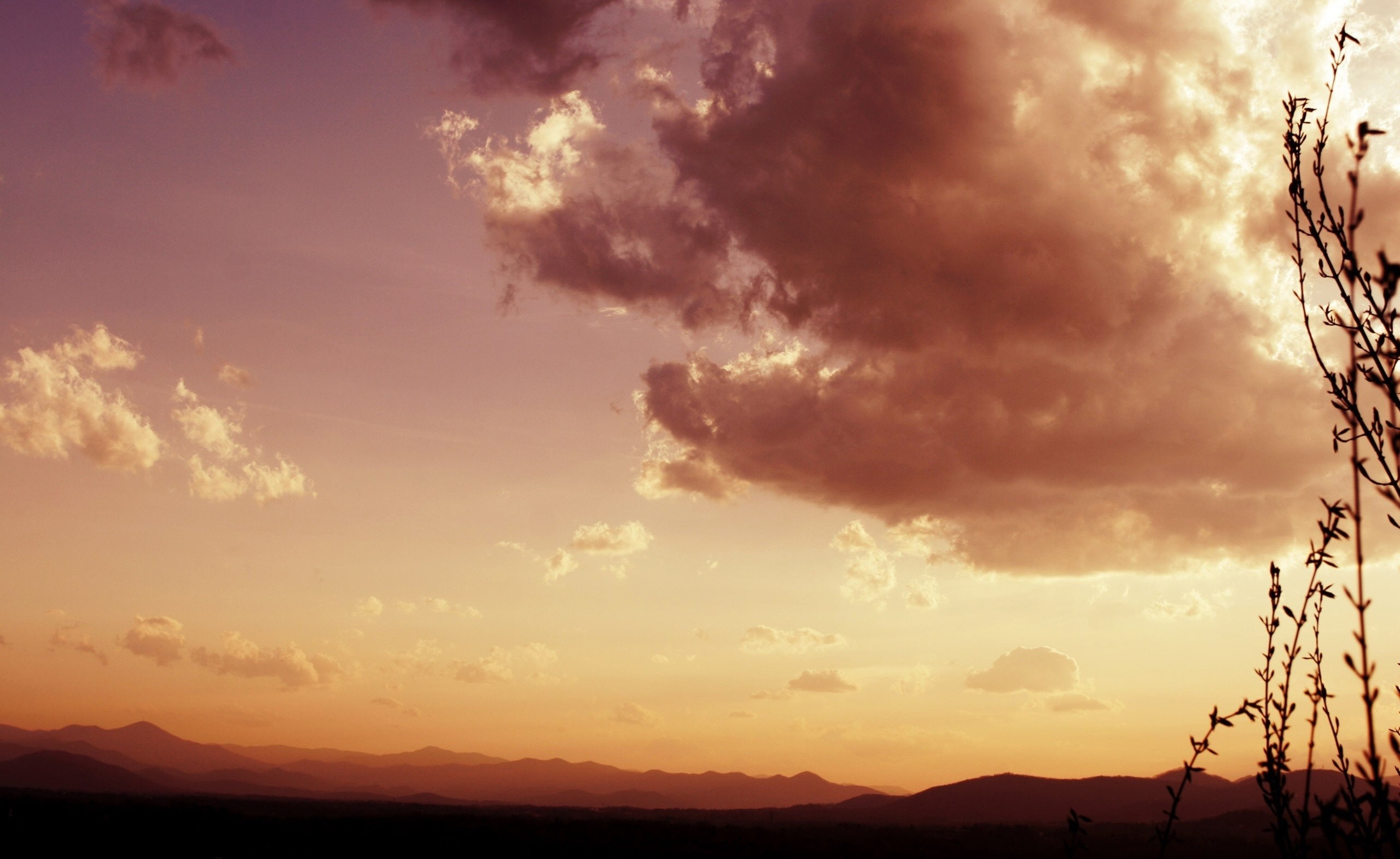 Sunset over mountains with clouds and silhouetted plants HD Wallpaper