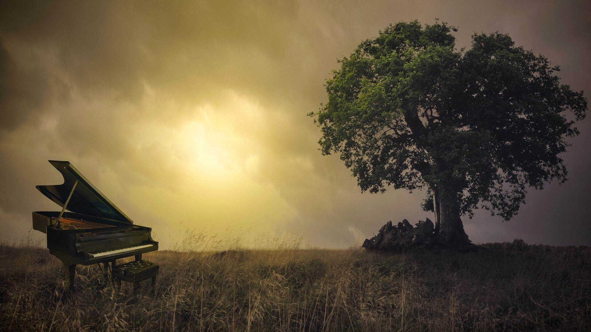 Grand piano in a field with a tree HD Wallpaper