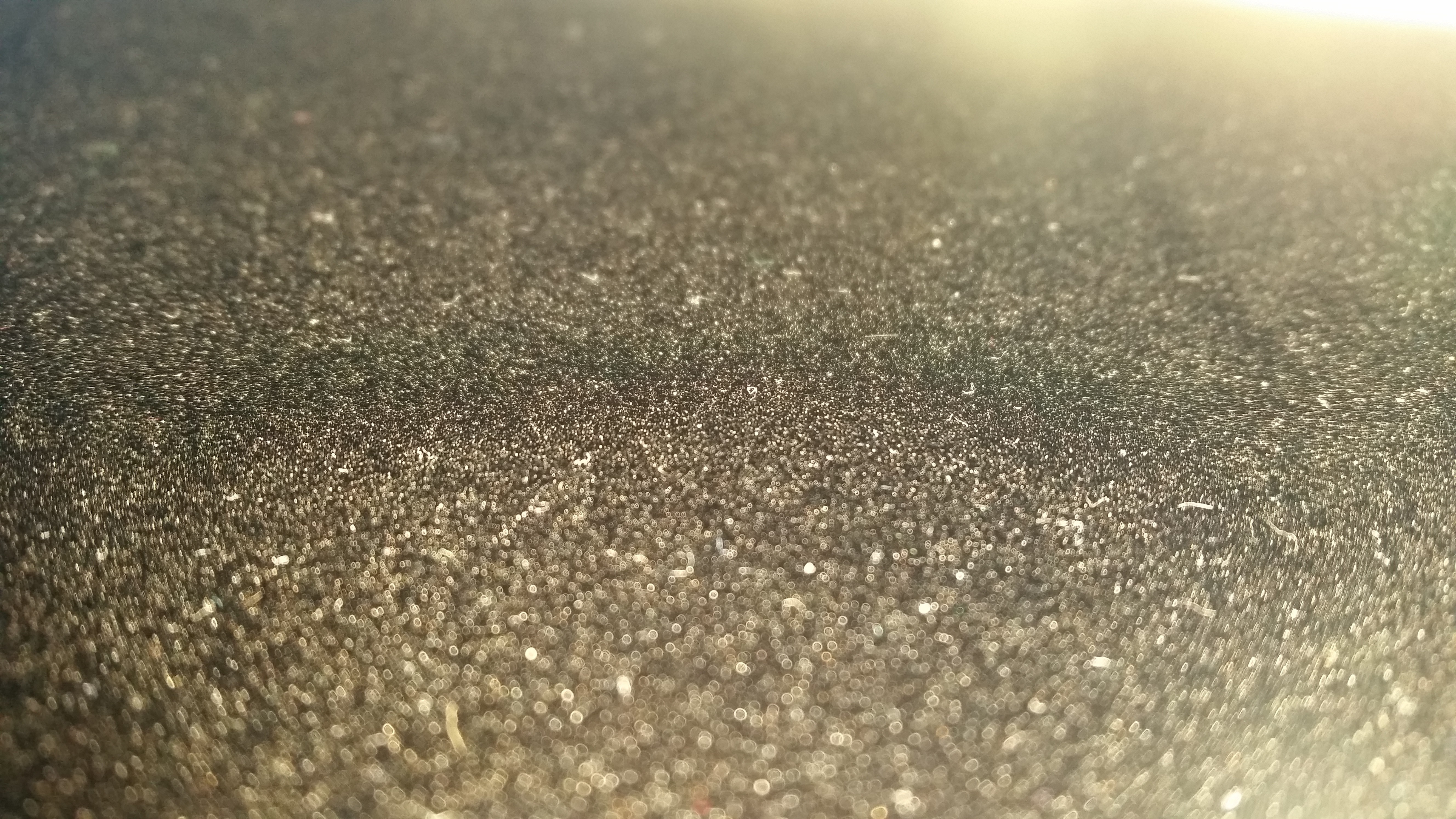 Close-up of textured surface with sunlight HD Wallpaper