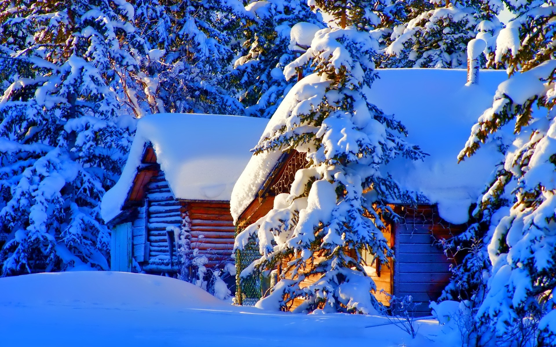 Snow-covered log cabin in a winter forest HD Wallpaper