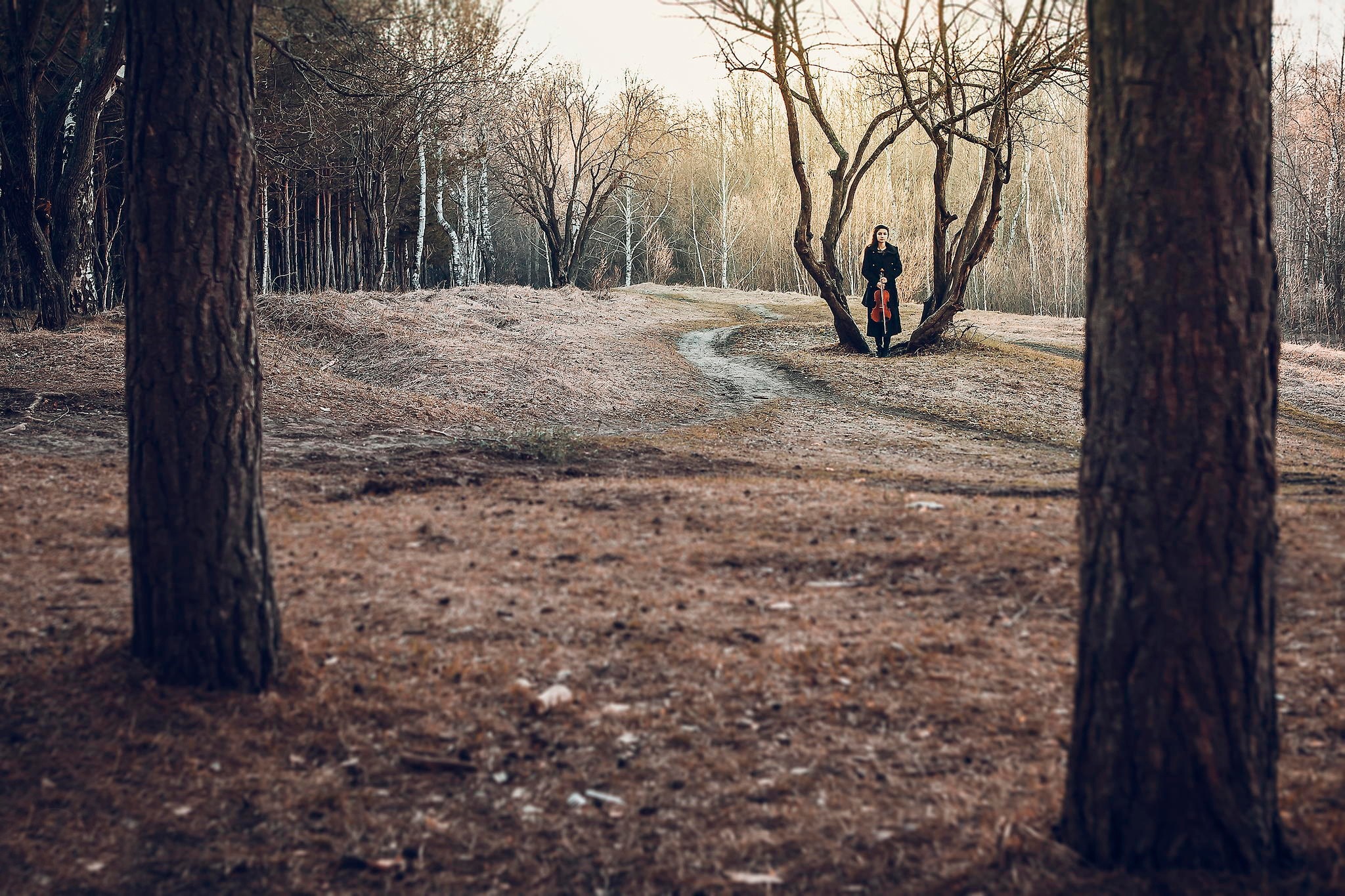 Woman with violin in a winter forest HD Wallpaper
