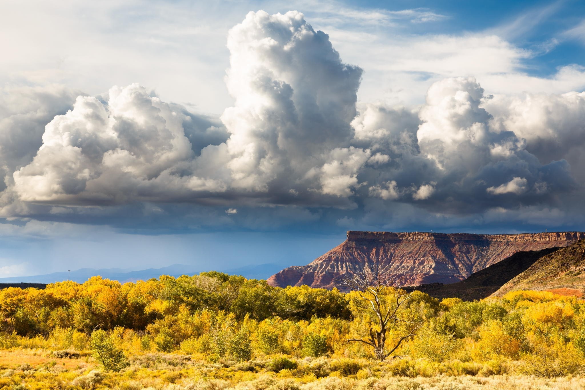 Autumn trees and mesa under dramatic clouds HD Wallpaper
