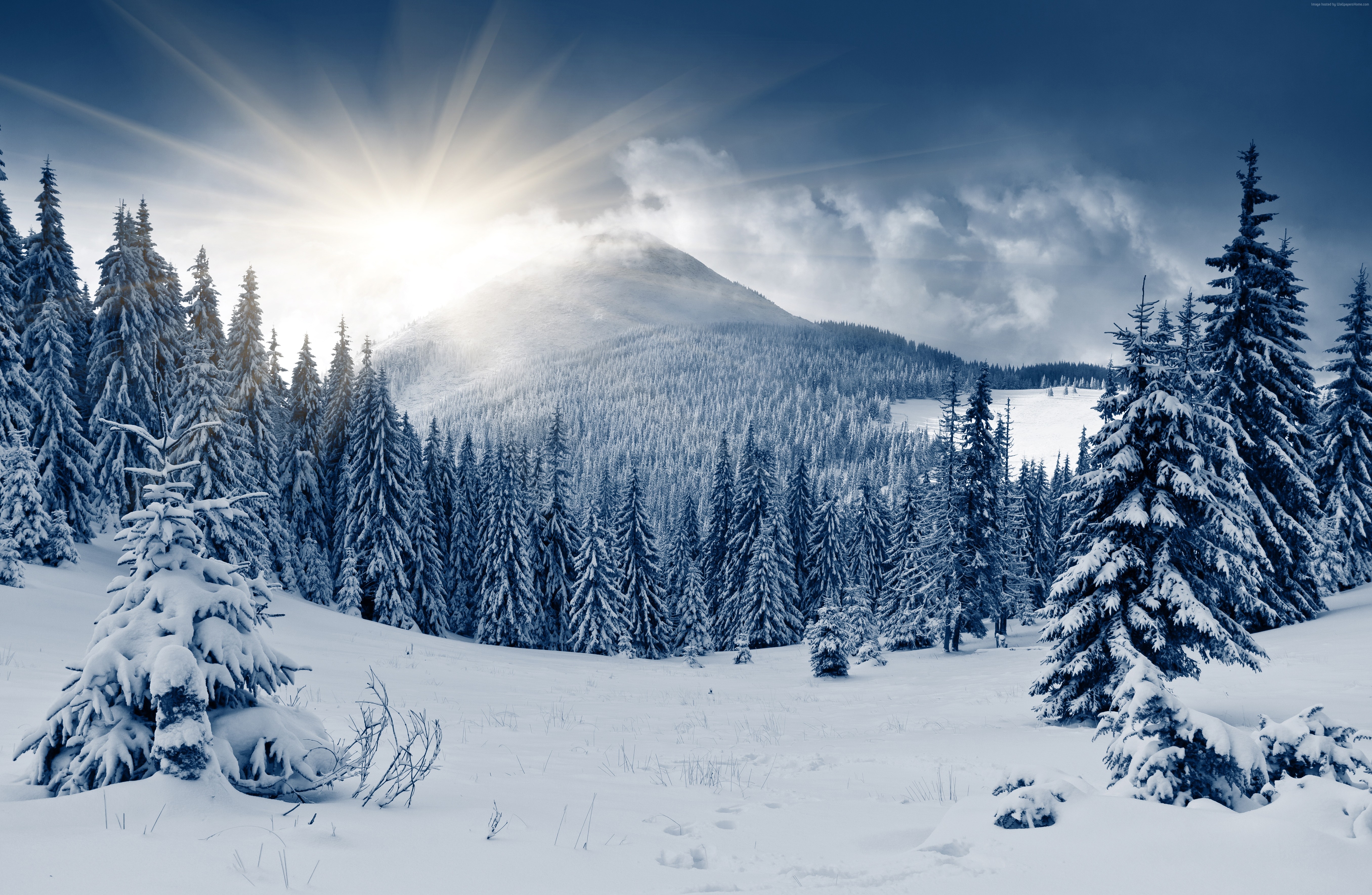 Sun shining over a snow-covered mountain and winter forest HD Wallpaper