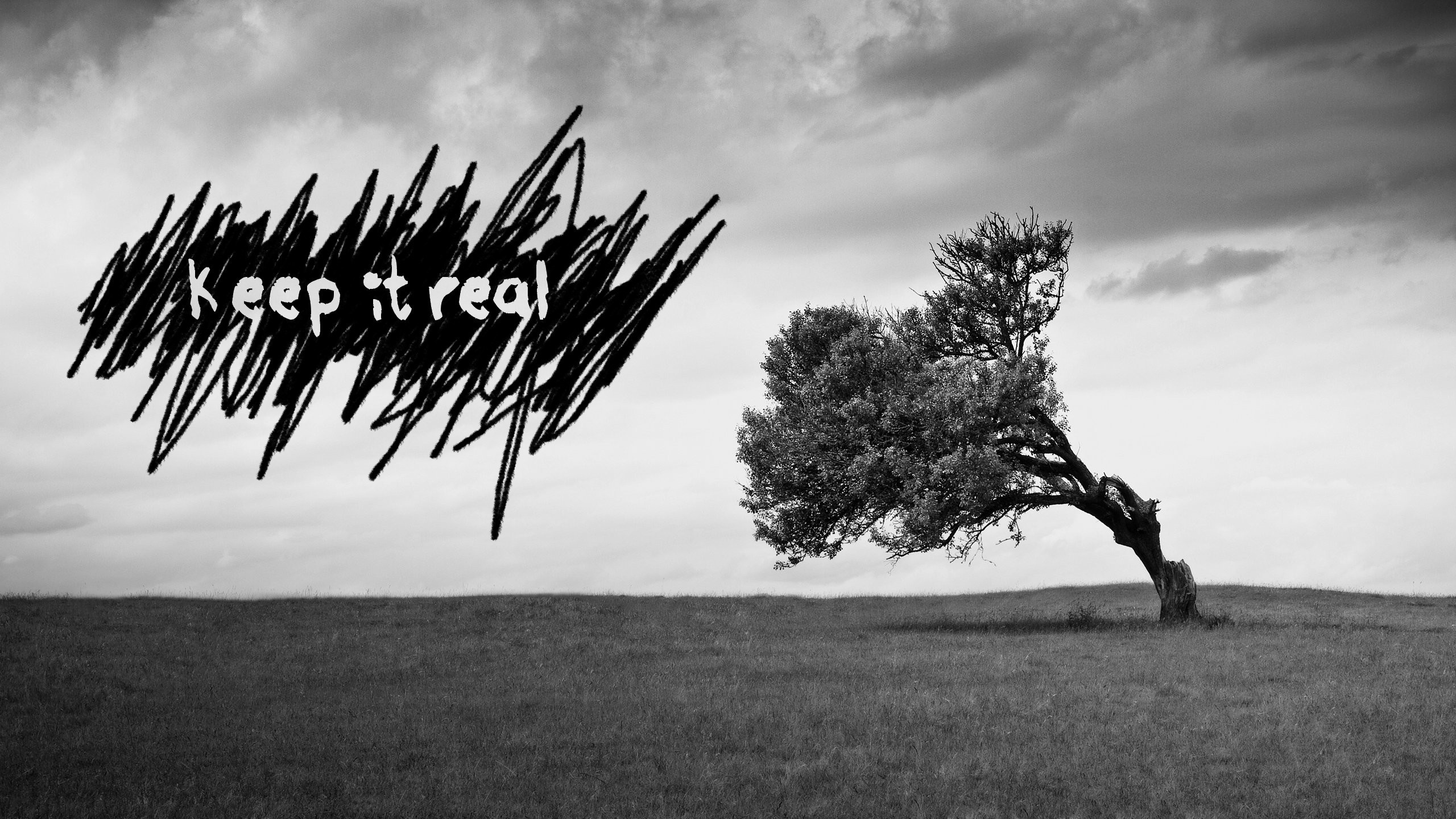 Keep it real text over a windswept tree in a field HD Wallpaper