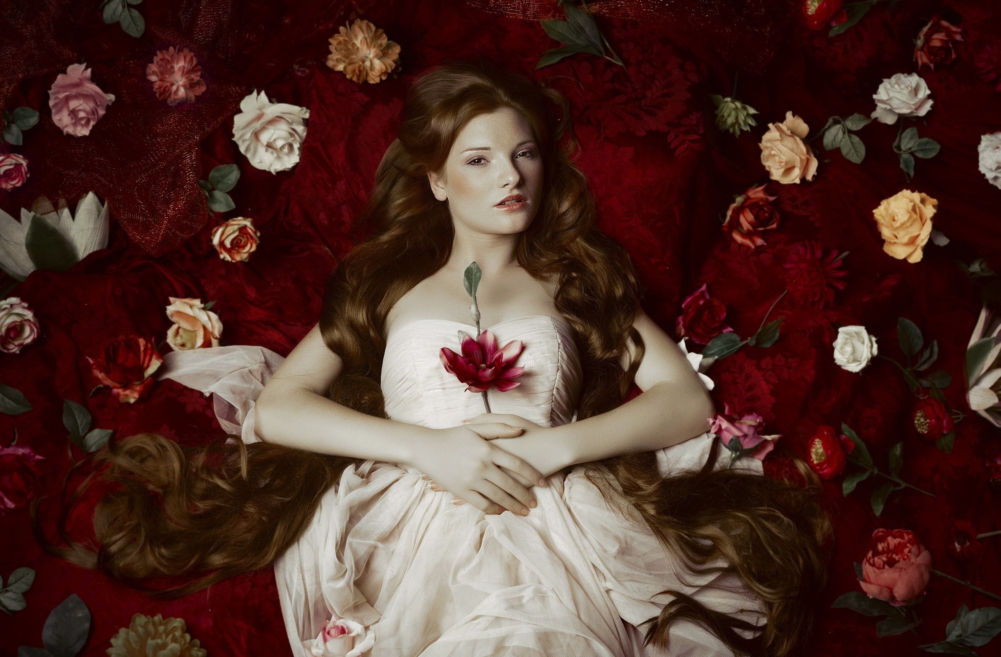 Woman in a dress lying among flowers HD Wallpaper