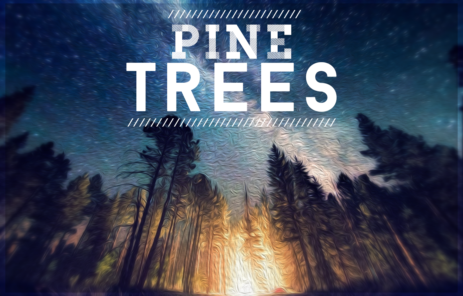 Pine Trees Under a Starry Sky HD Wallpaper