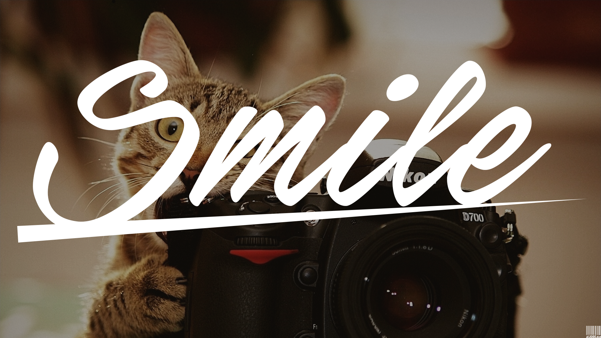 Cat with Nikon D700 Camera and "Smile" Text HD Wallpaper