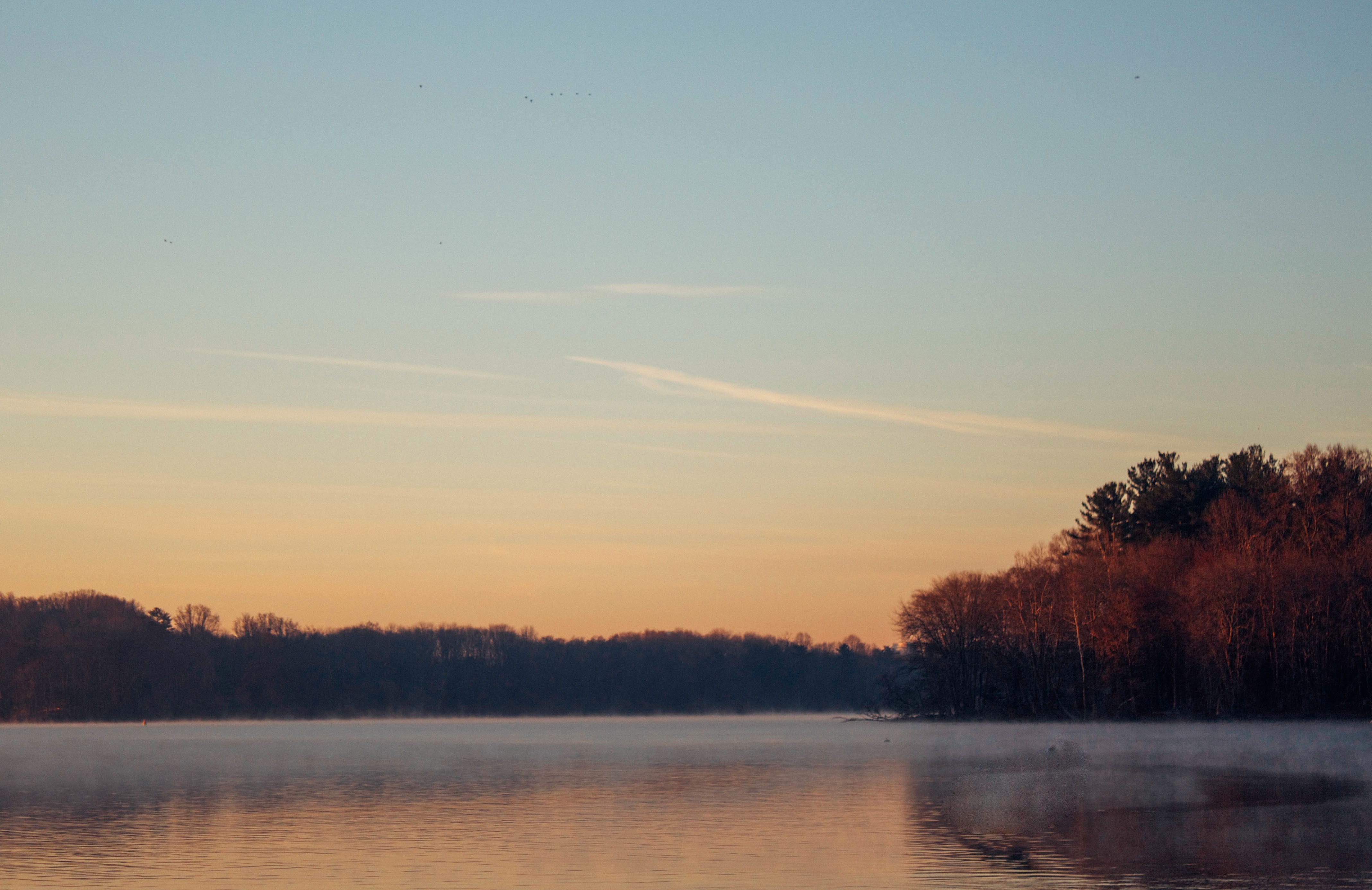 Misty lake at sunrise with forest and sky HD Wallpaper