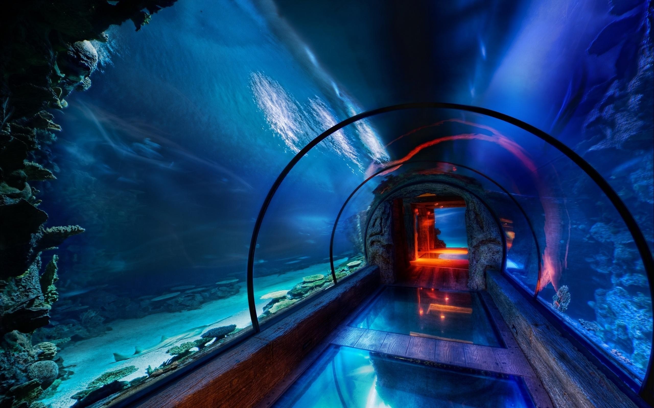 Underwater aquarium tunnel with blue and orange lights HD Wallpaper