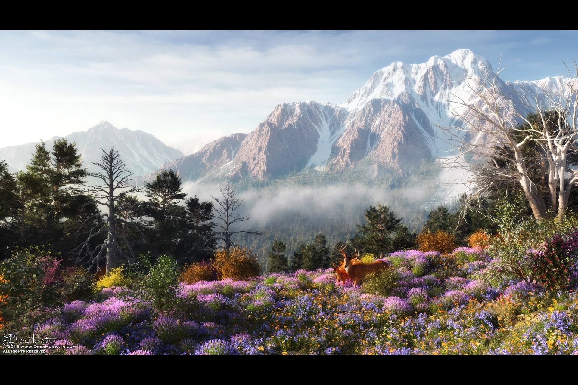 Deer in a wildflower meadow with snow-capped mountains HD Wallpaper