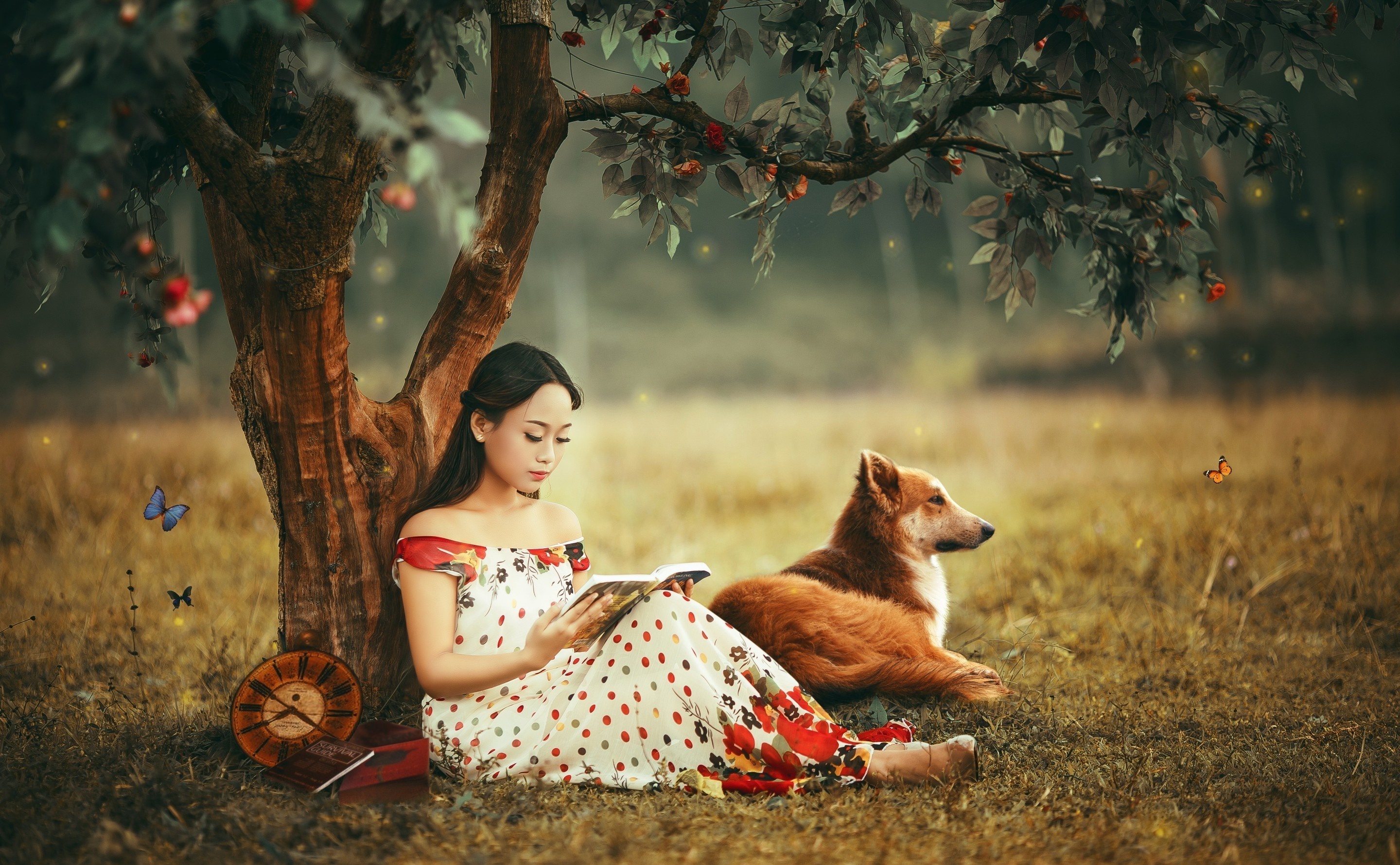 Woman reading a book with a dog under a tree HD Wallpaper