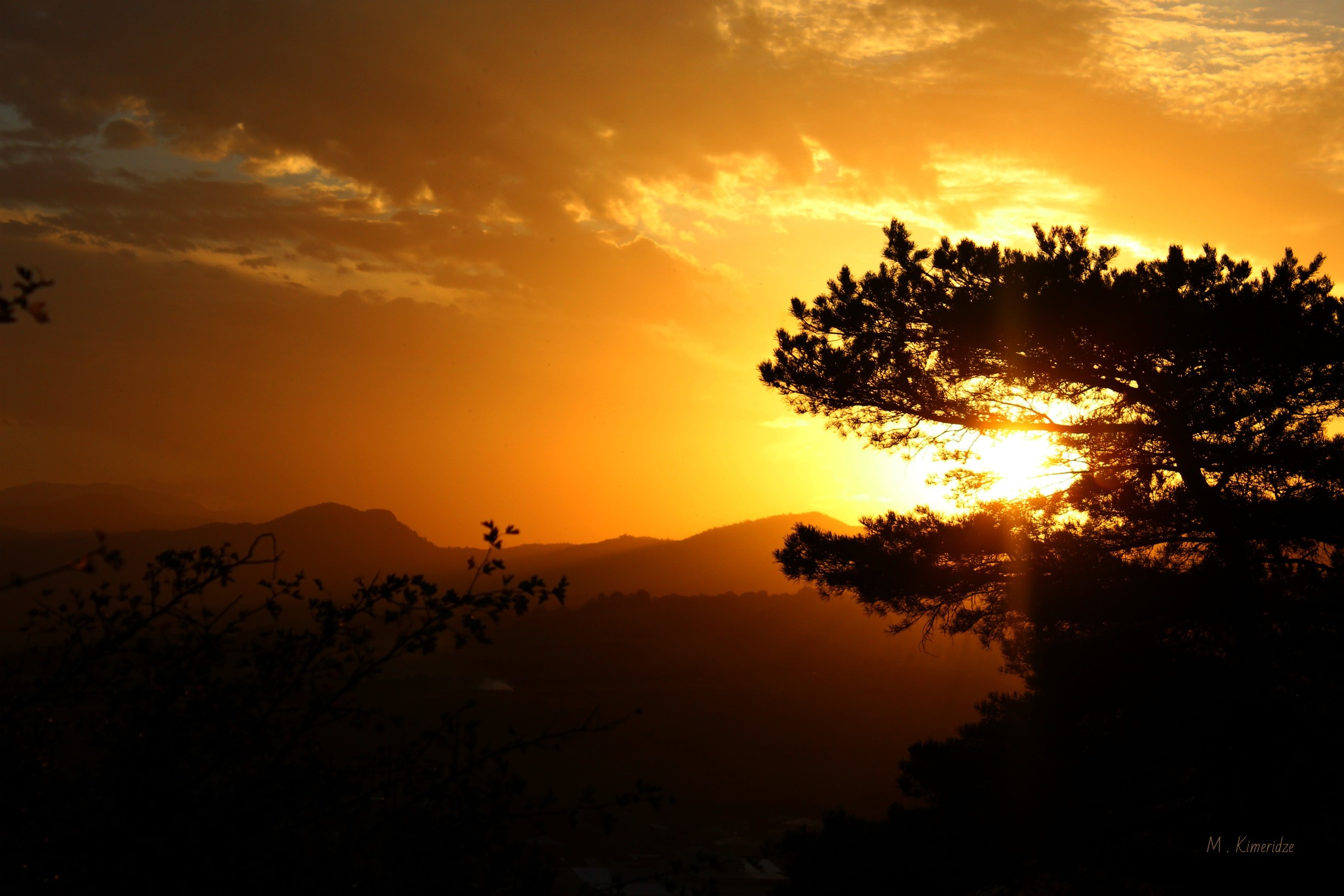 Sunset over mountains with silhouetted trees HD Wallpaper