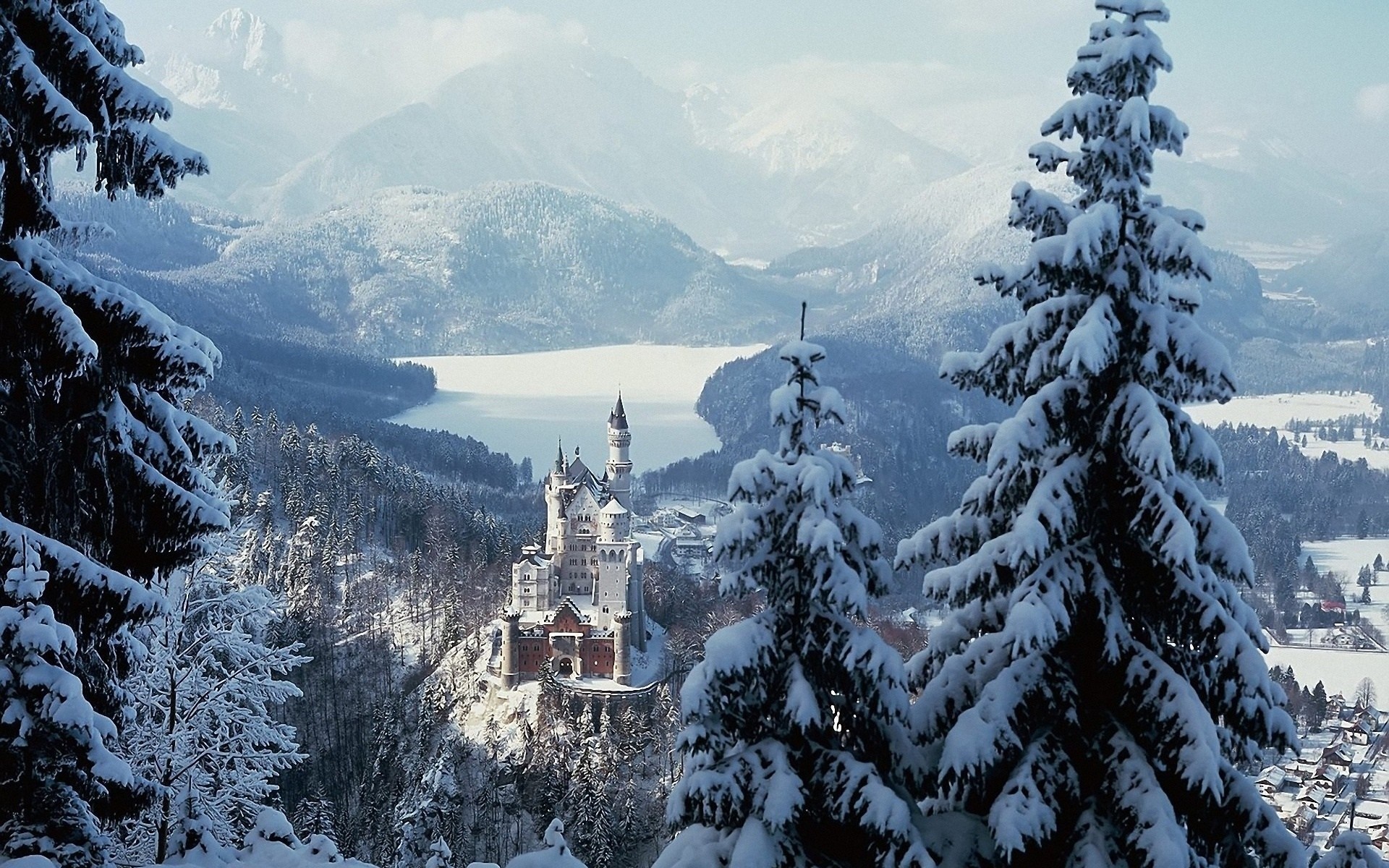 Schloss Neuschwanstein in winter with snow-covered trees HD Wallpaper