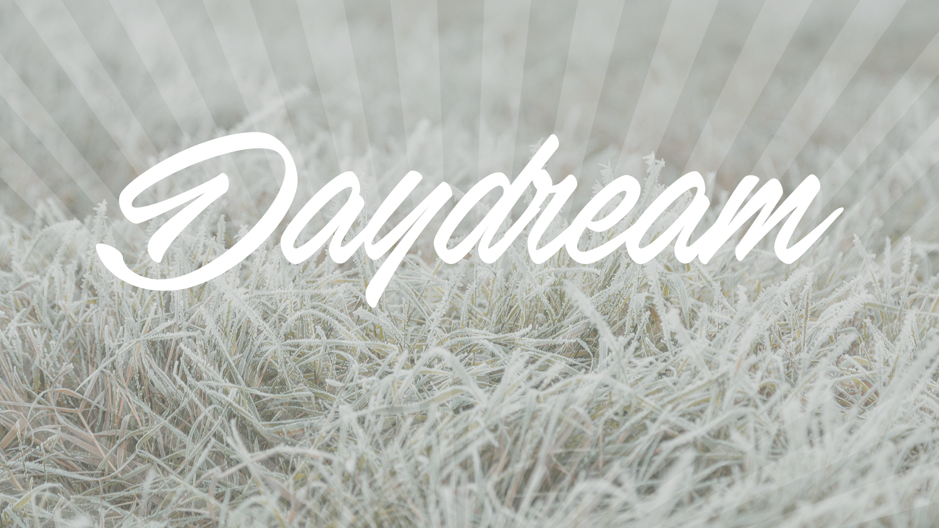 Daydream text on frosted grass HD Wallpaper