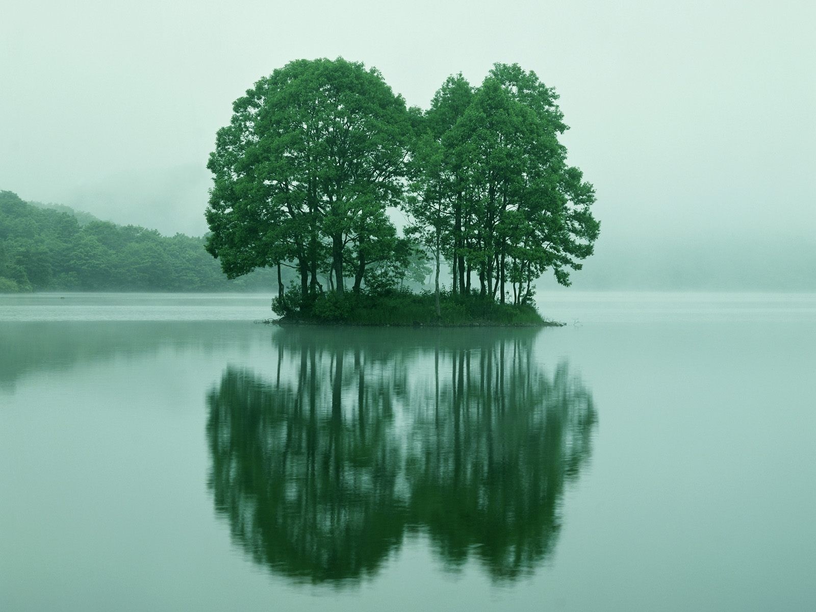 Island with trees reflected in a misty lake HD Wallpaper