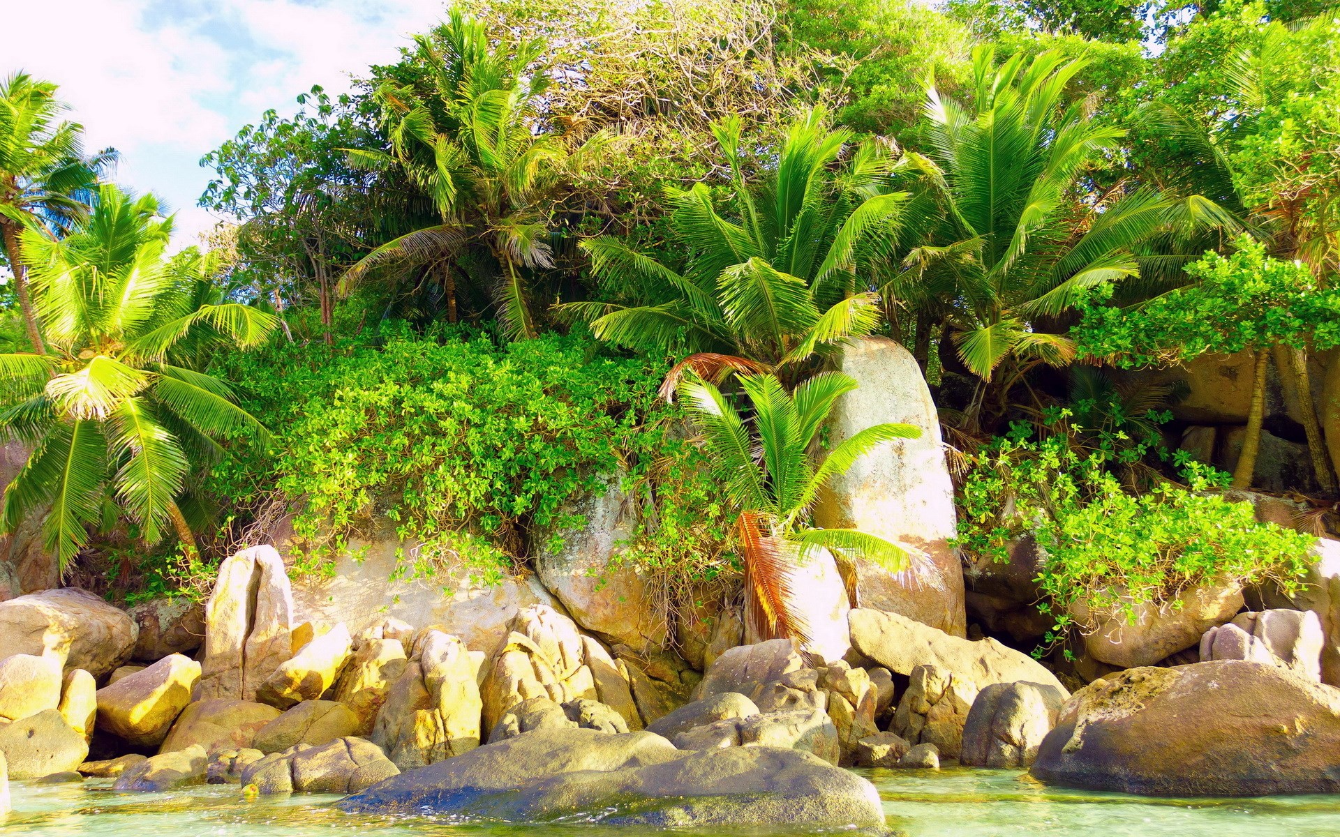 Tropical island with palm trees and rocks HD Wallpaper