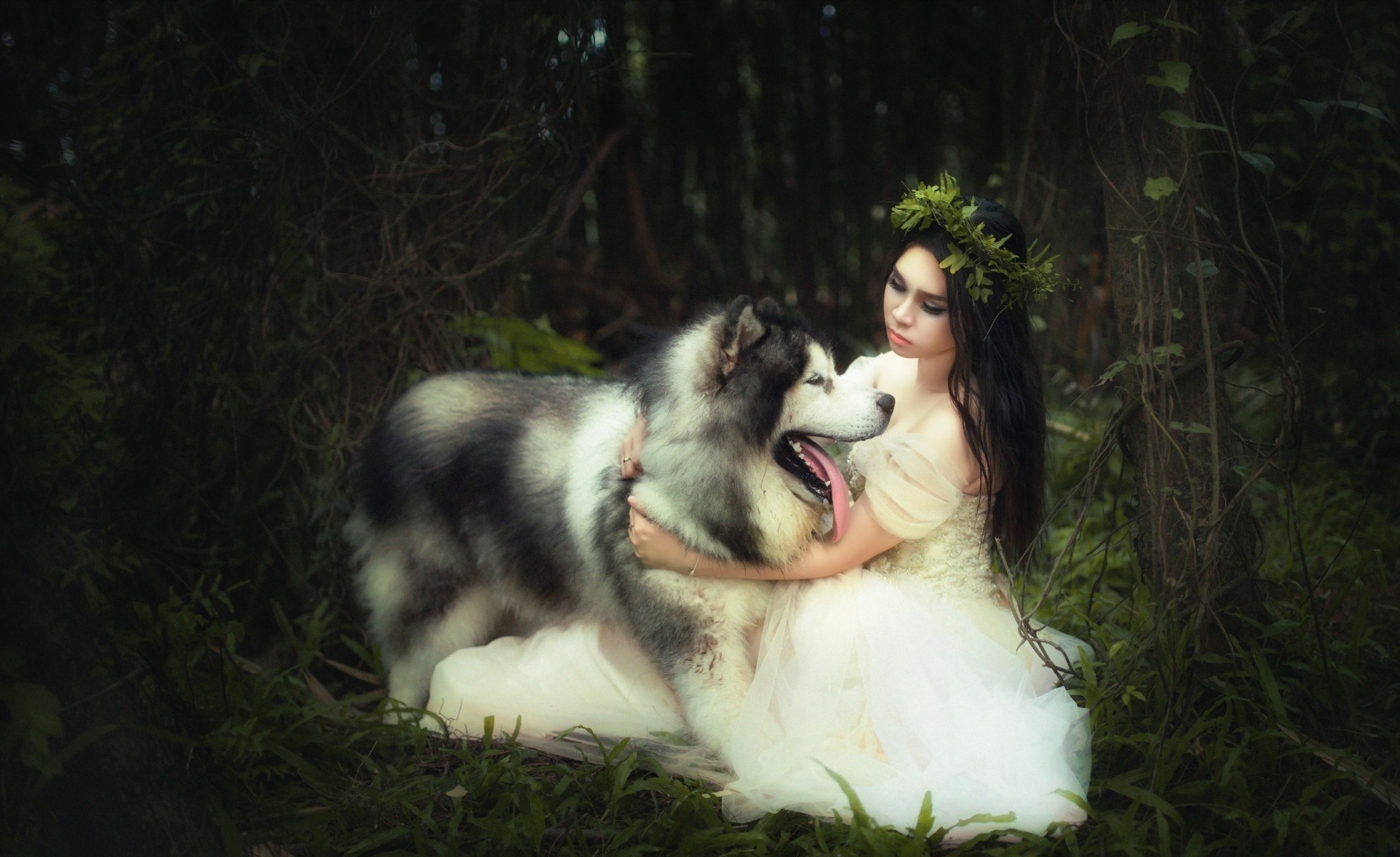 Woman in white dress with Alaskan Malamute in forest HD Wallpaper