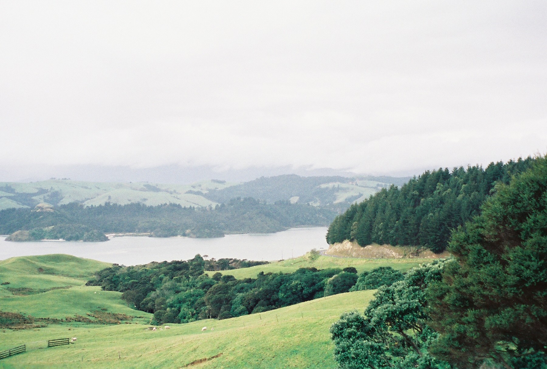Rolling green hills and a bay with forested islands under a cloudy sky HD Wallpaper