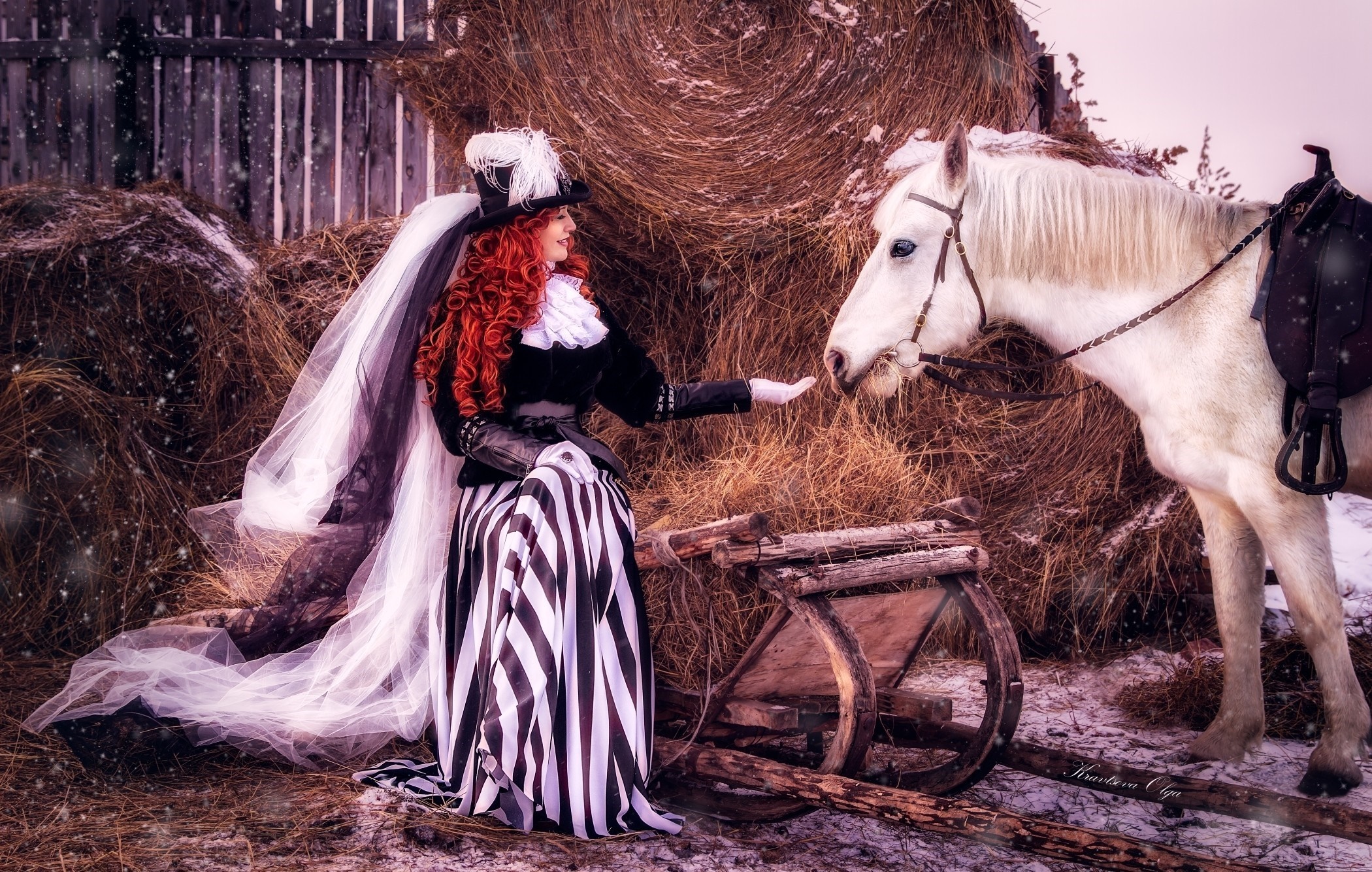 Woman in costume with horse and sleigh in winter HD Wallpaper